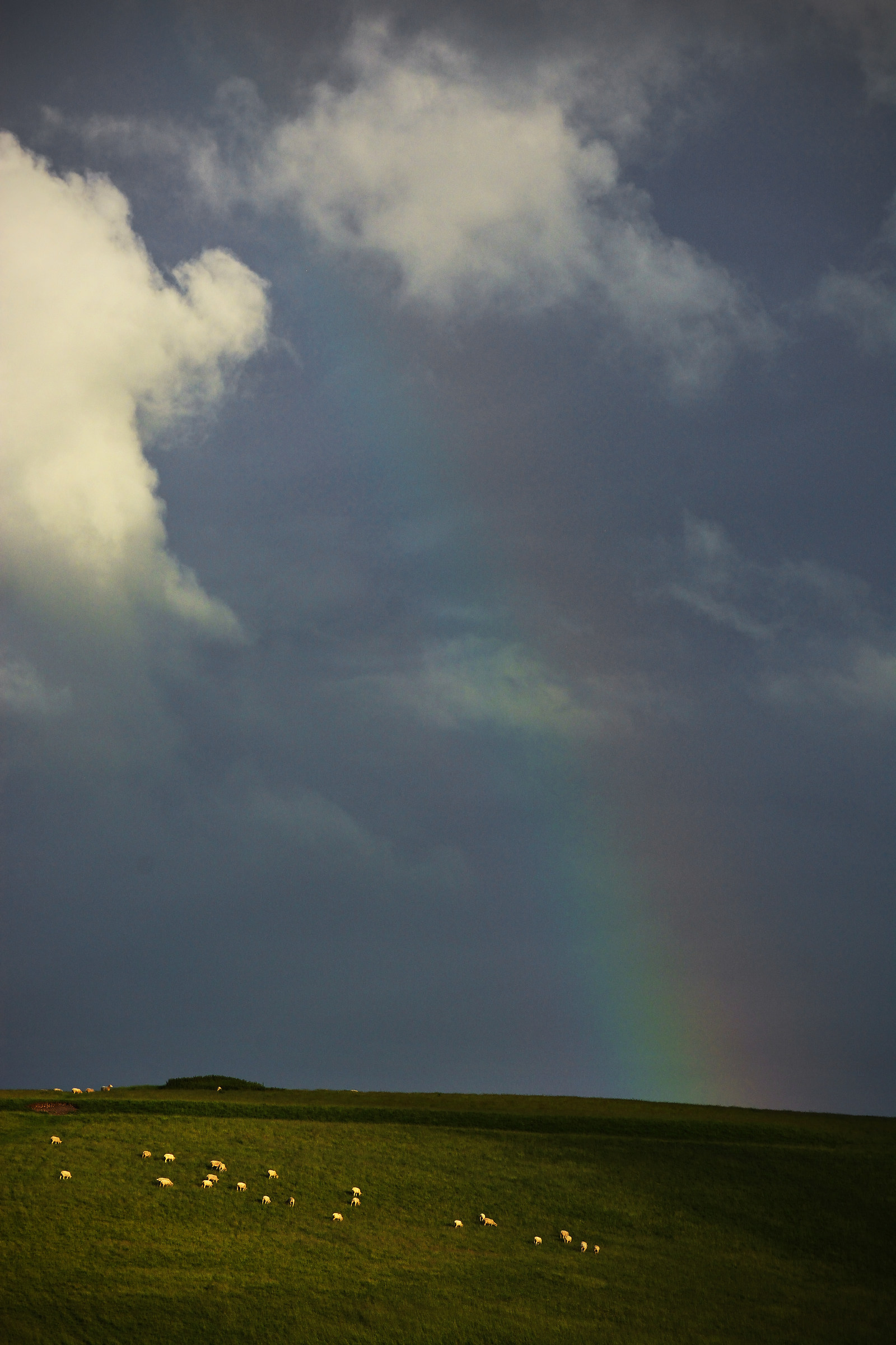 Rainbow, Sheep, Burial Mound