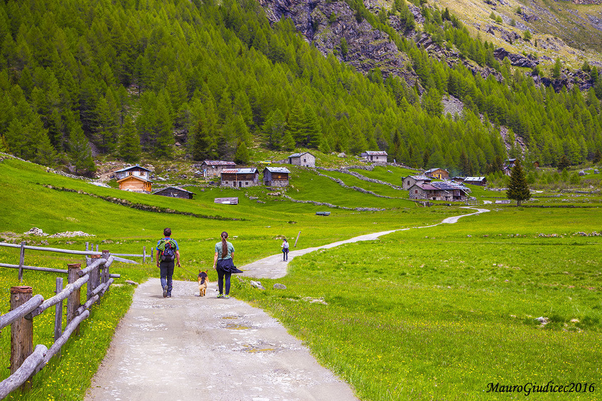 walk in the valley of Rezzalo