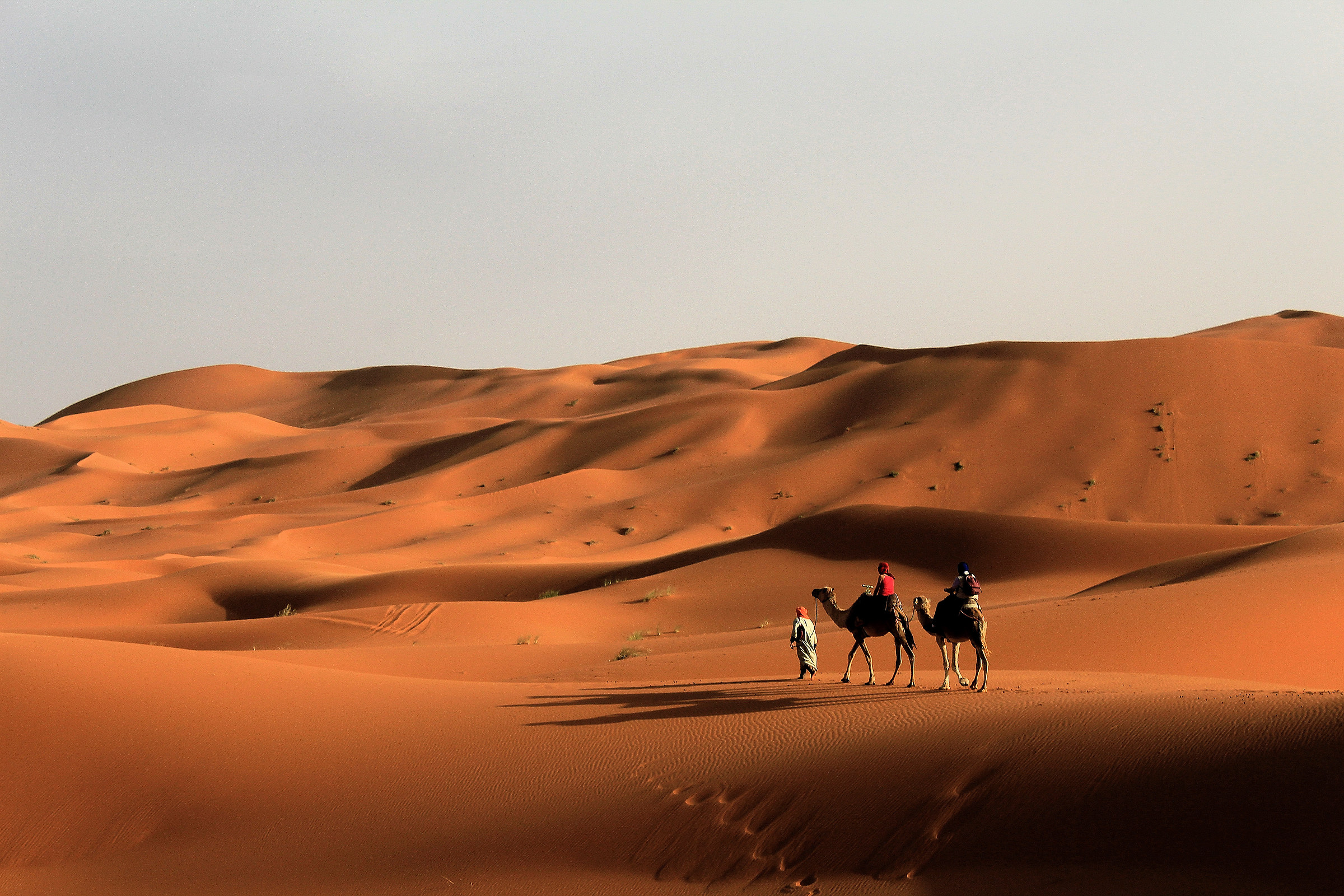 The colors of the desert ...