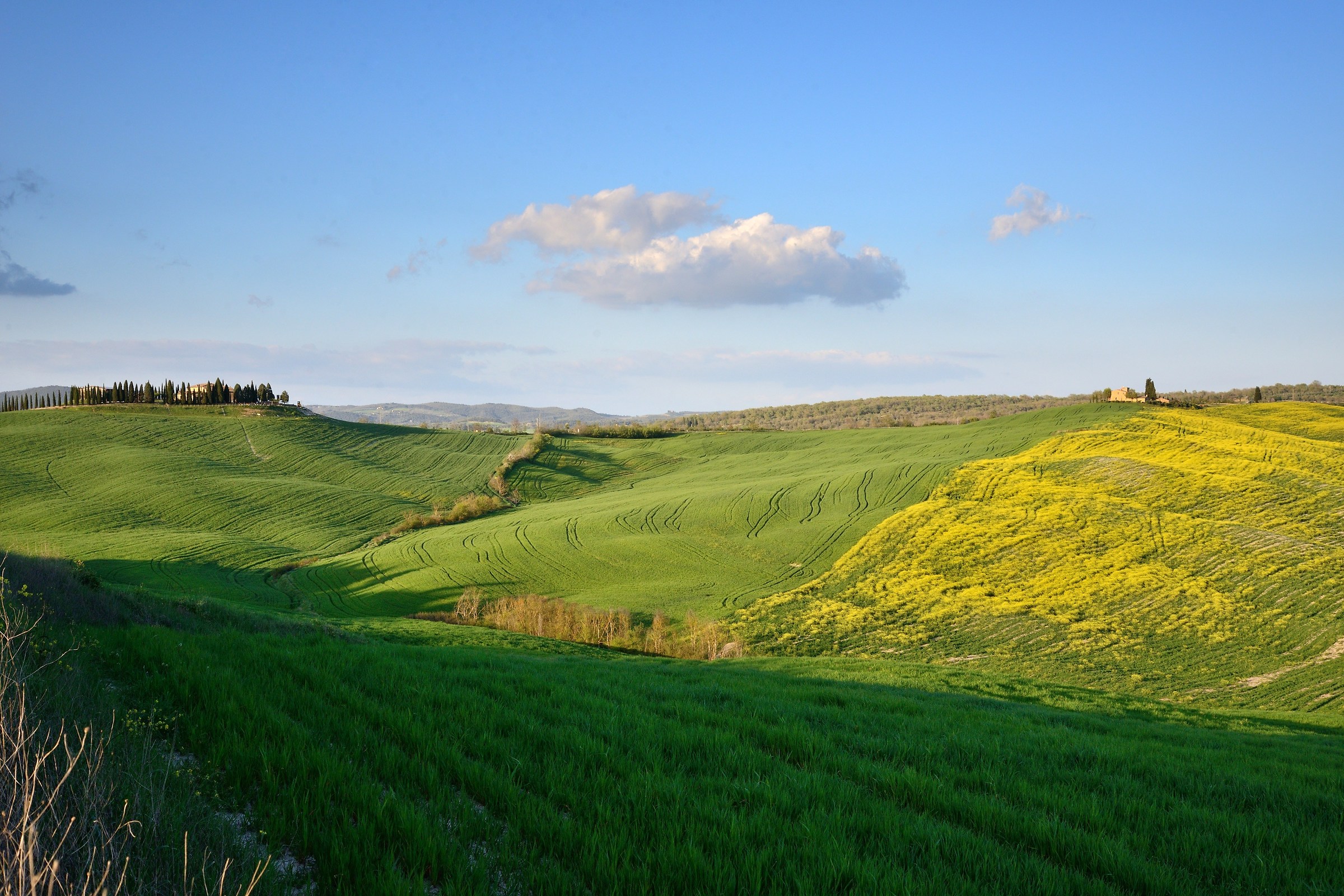 Fra Pienza e S.Quirico d'Orcia