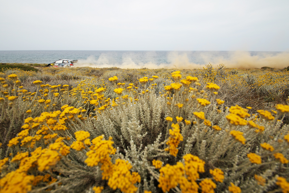 Rally Sardinia 2016