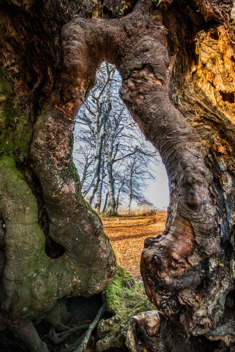 riserva naturale canfaito