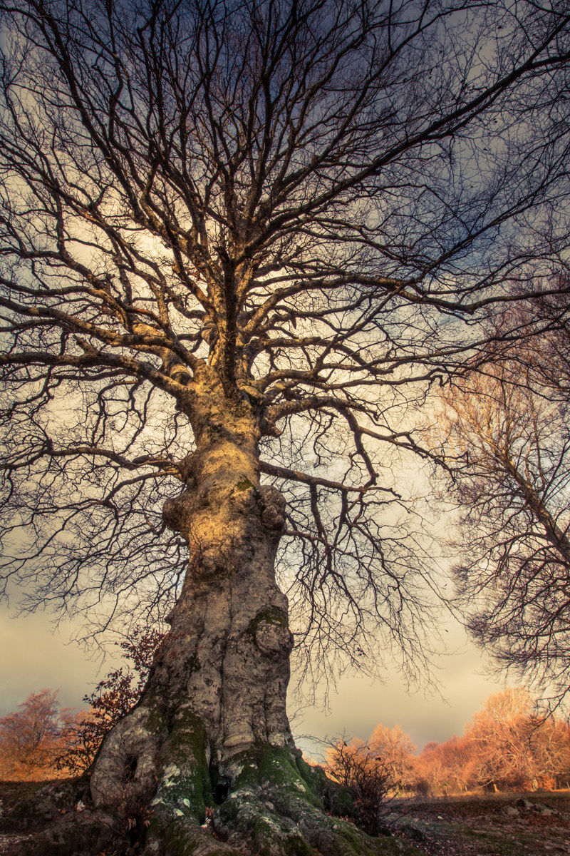 riserva naturale canfaito