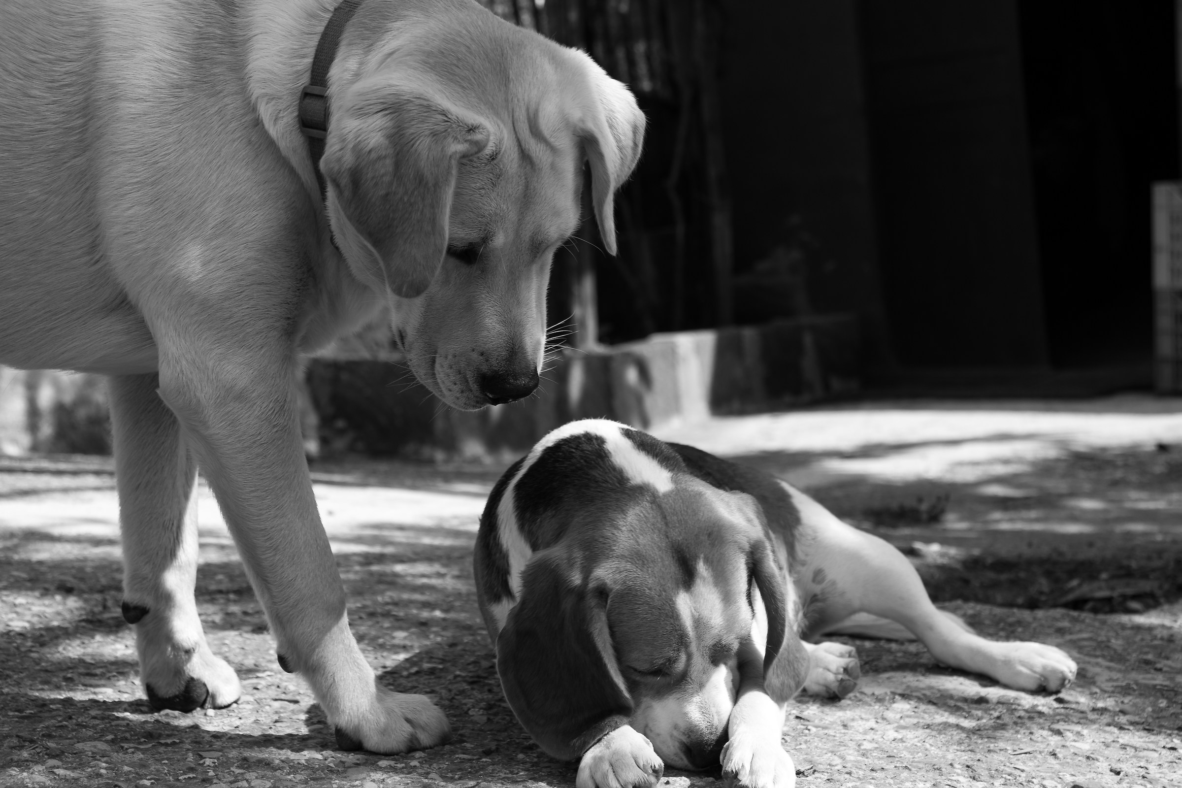 " Dai ora non fare la permalosa "