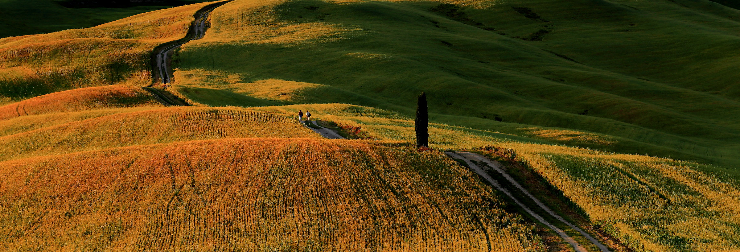 Walking into the sunset...