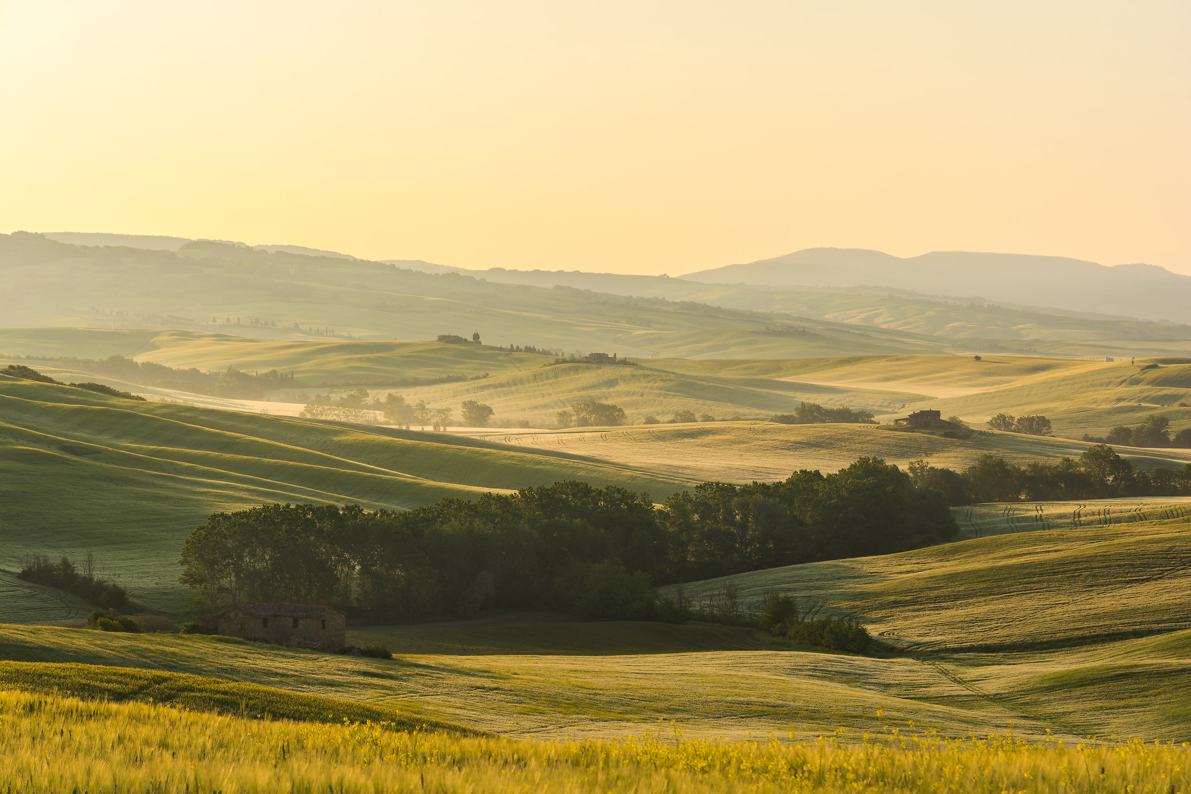 Fra le colline della Val d'Orcia