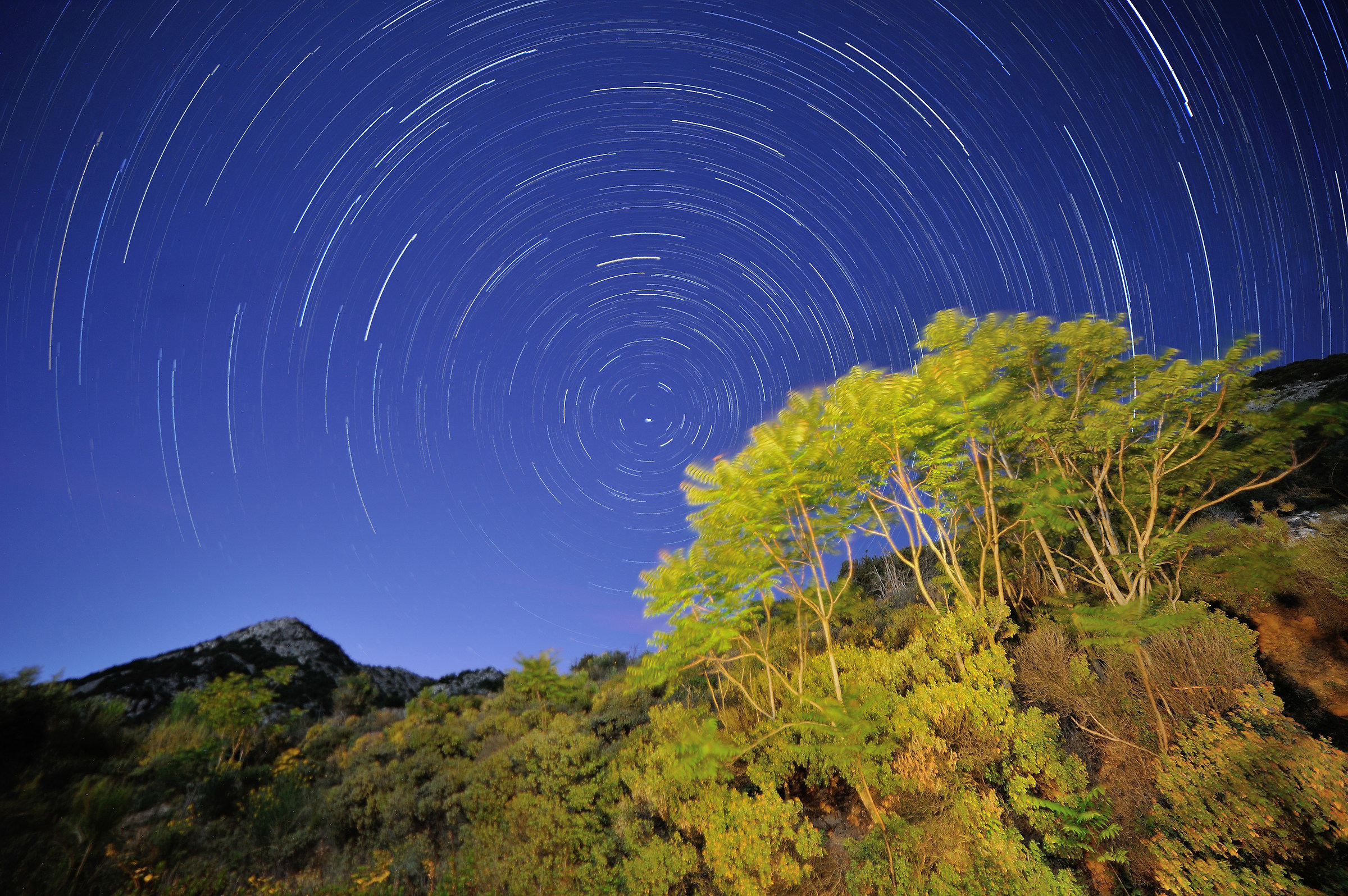 Primo Startrail