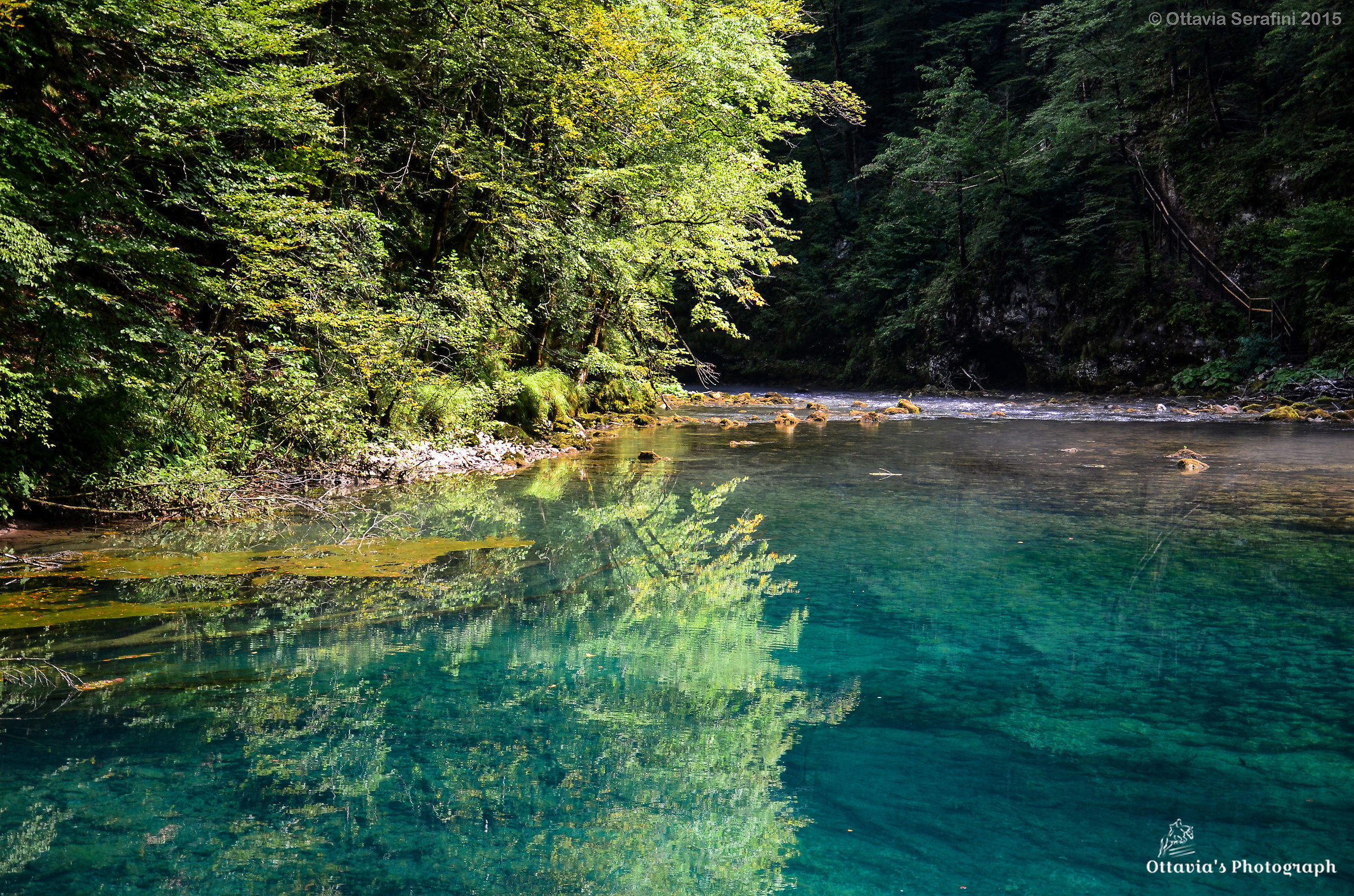 The source of the Kupa.