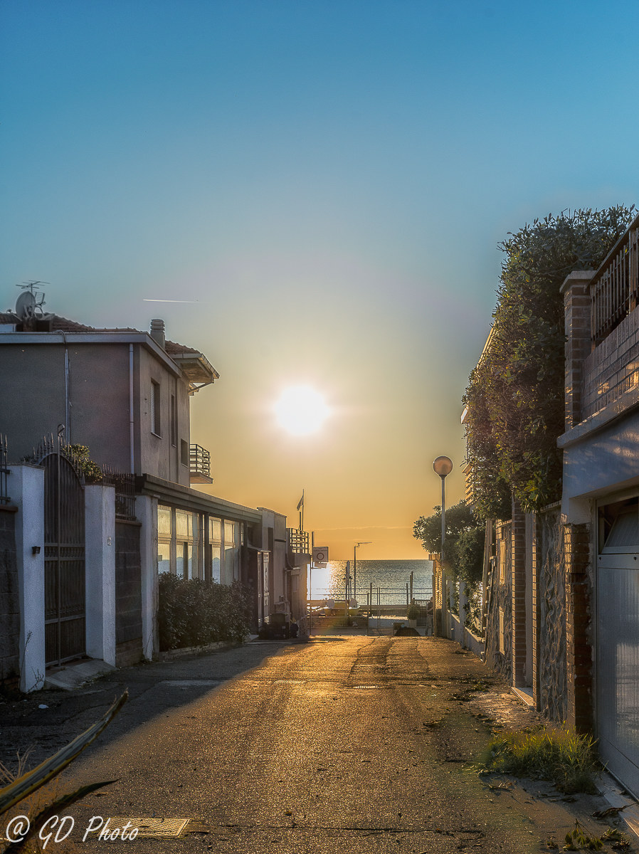 [...] To me so dear Come O night! [...]