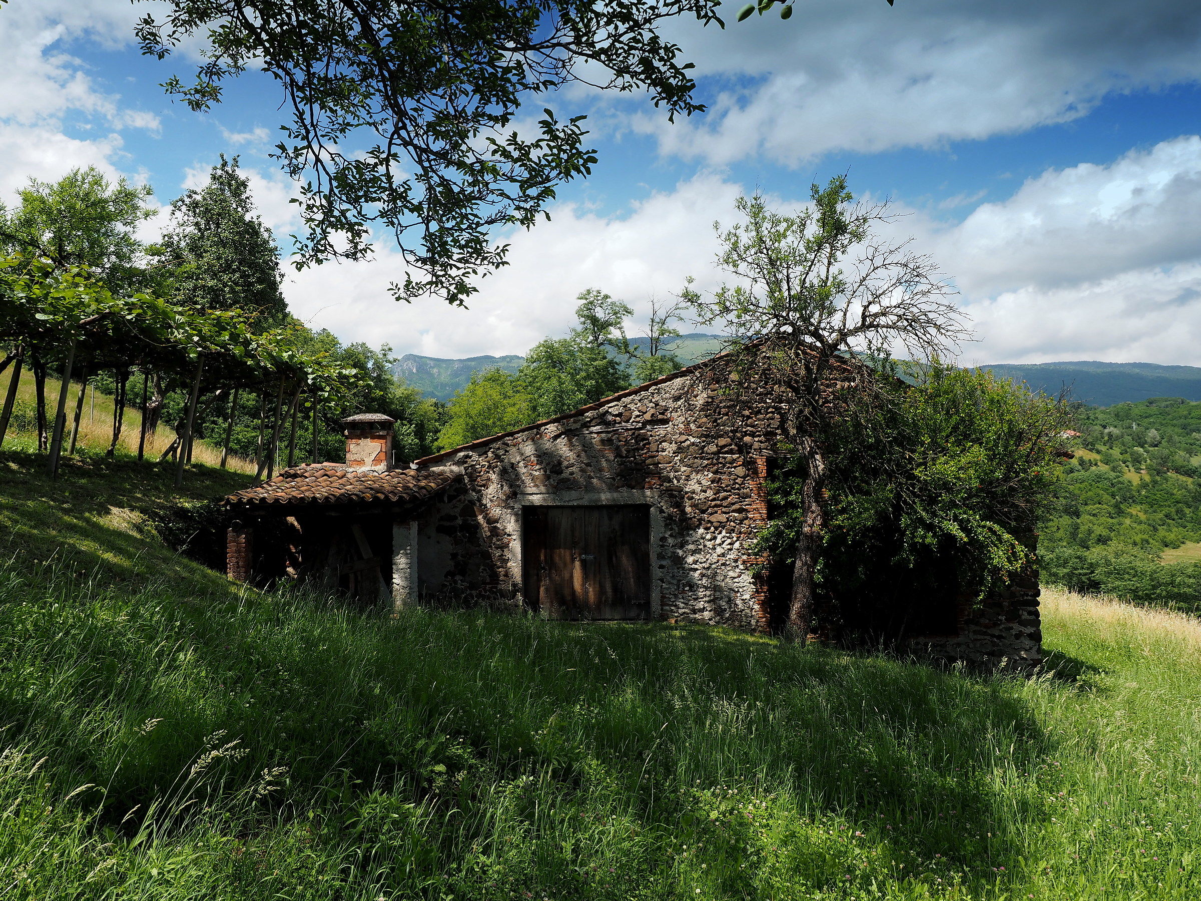 Bregonze hills of ...