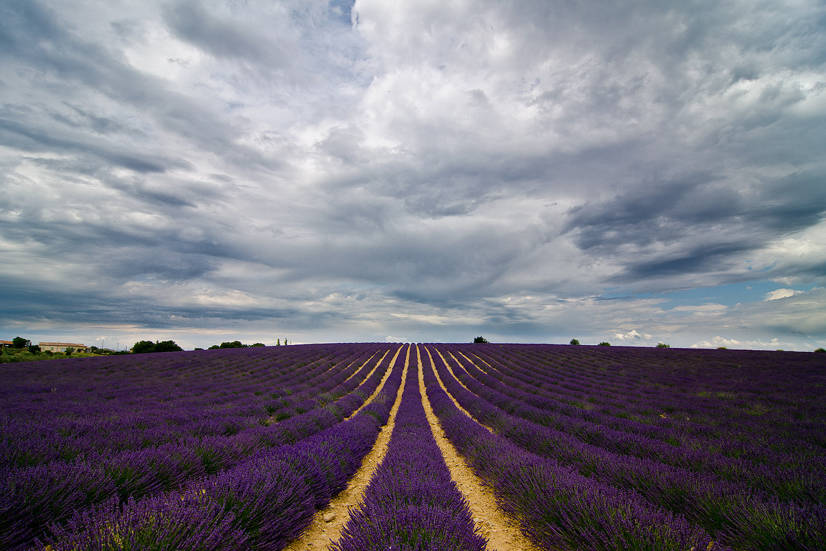 Provence