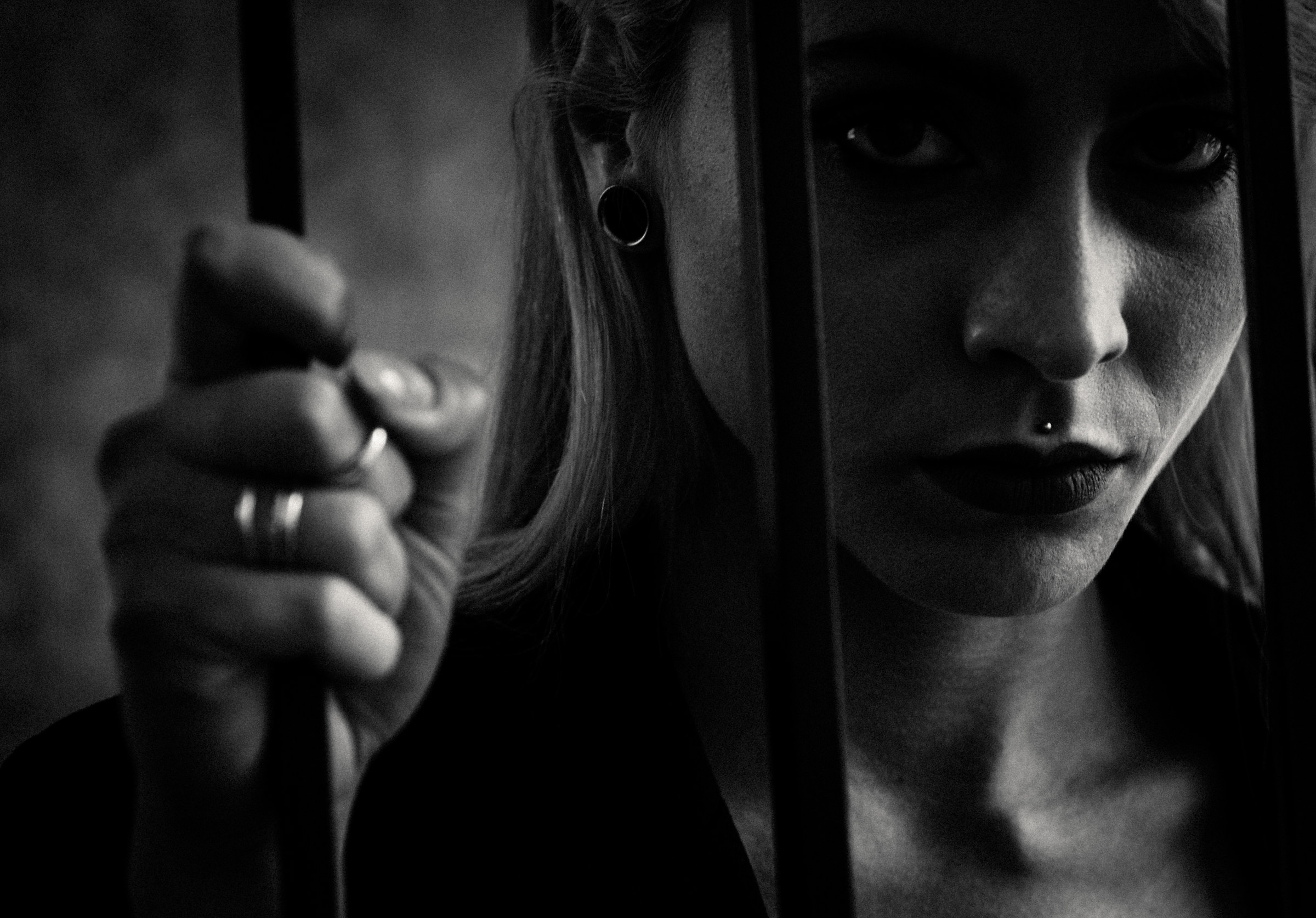 The wings of Freedom