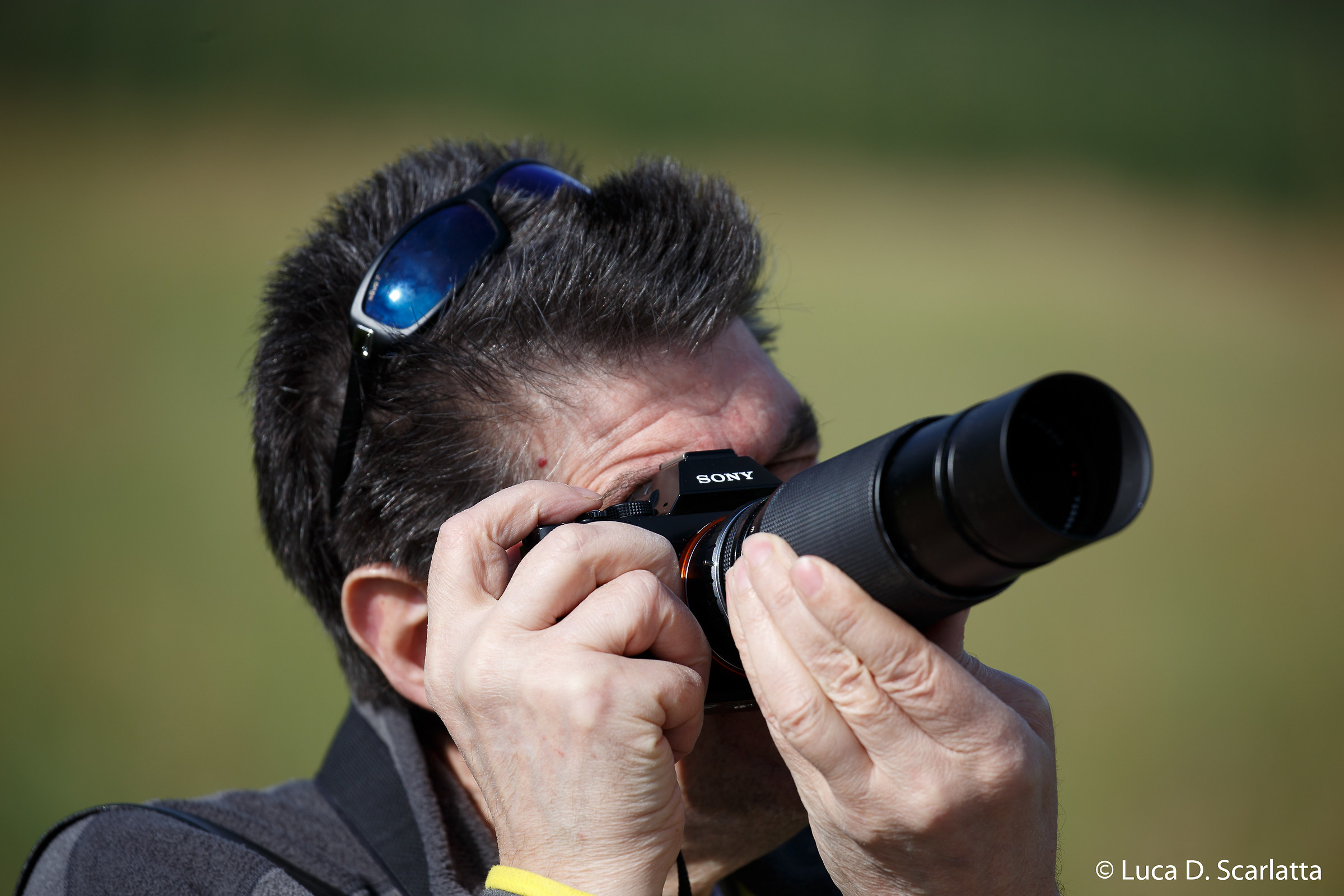 Il compagno di zingarate del sabato mattina.