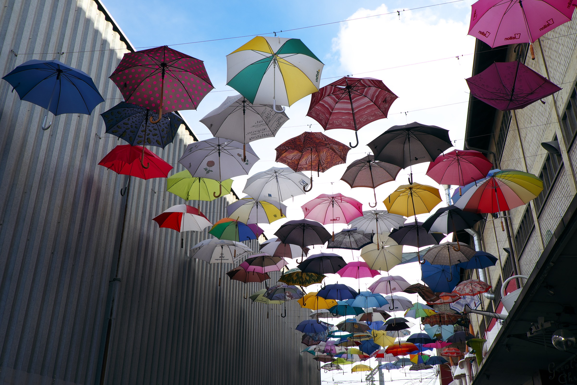 In caso di pioggia....