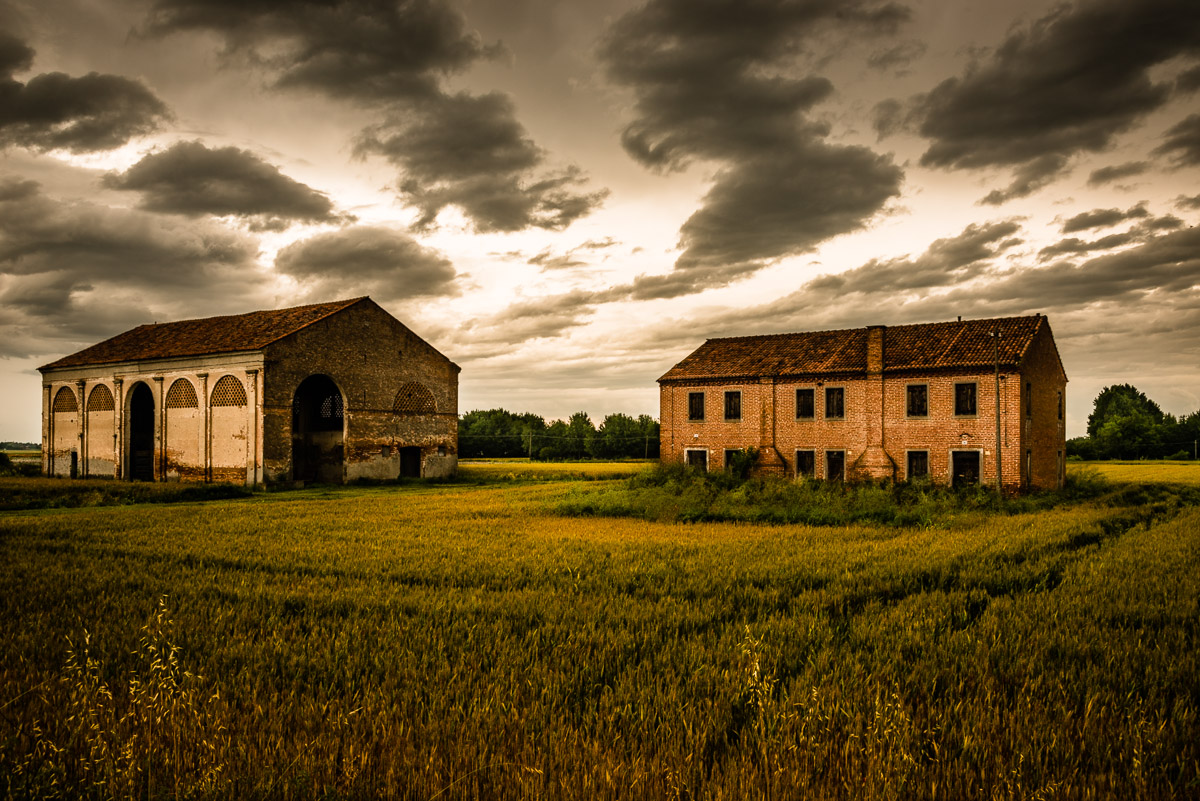 Che ne sai tu di un campo di grano?
