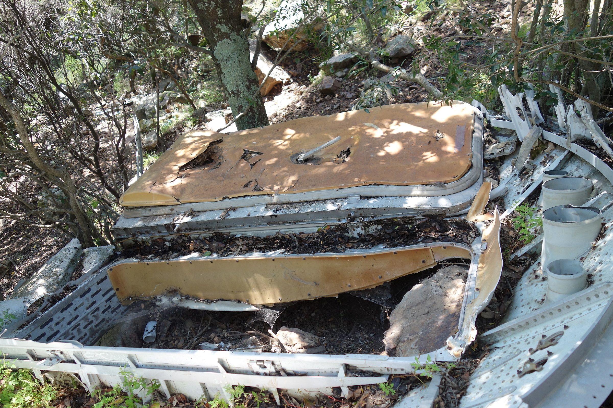 AEROTRASPORTItaliani