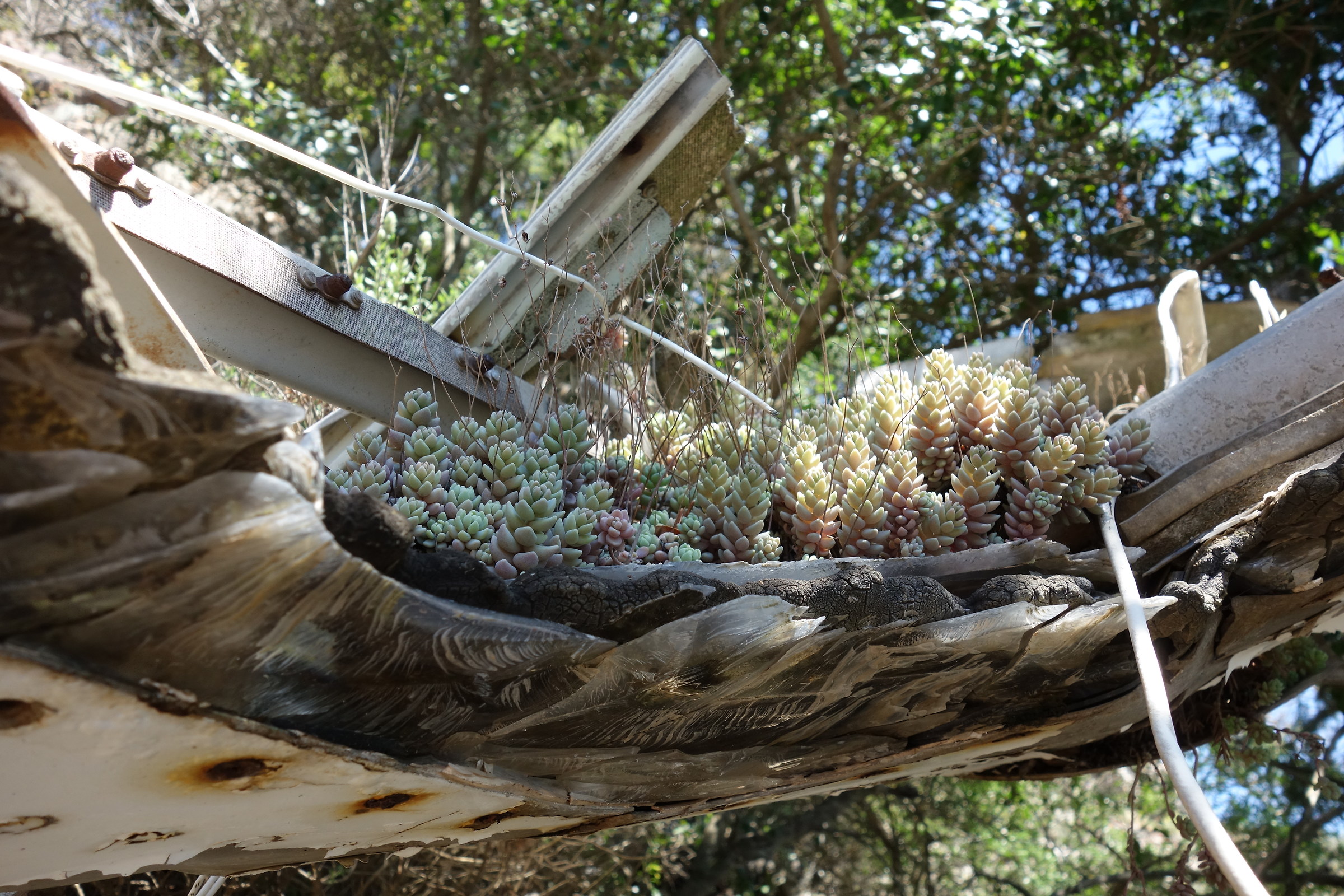 AEROTRASPORTItaliani