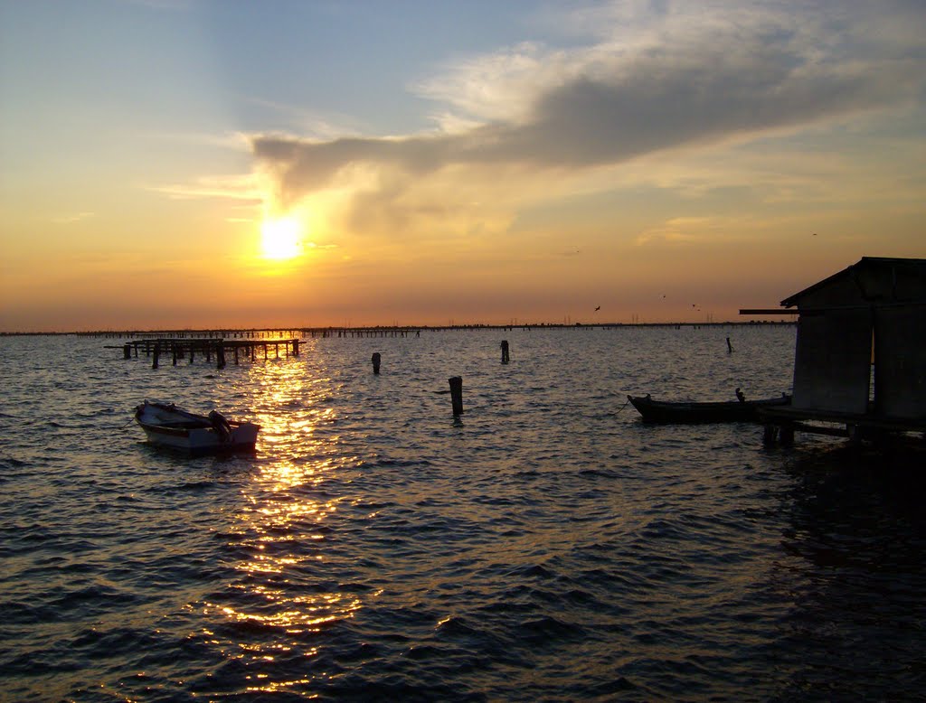 Scardovari sunset