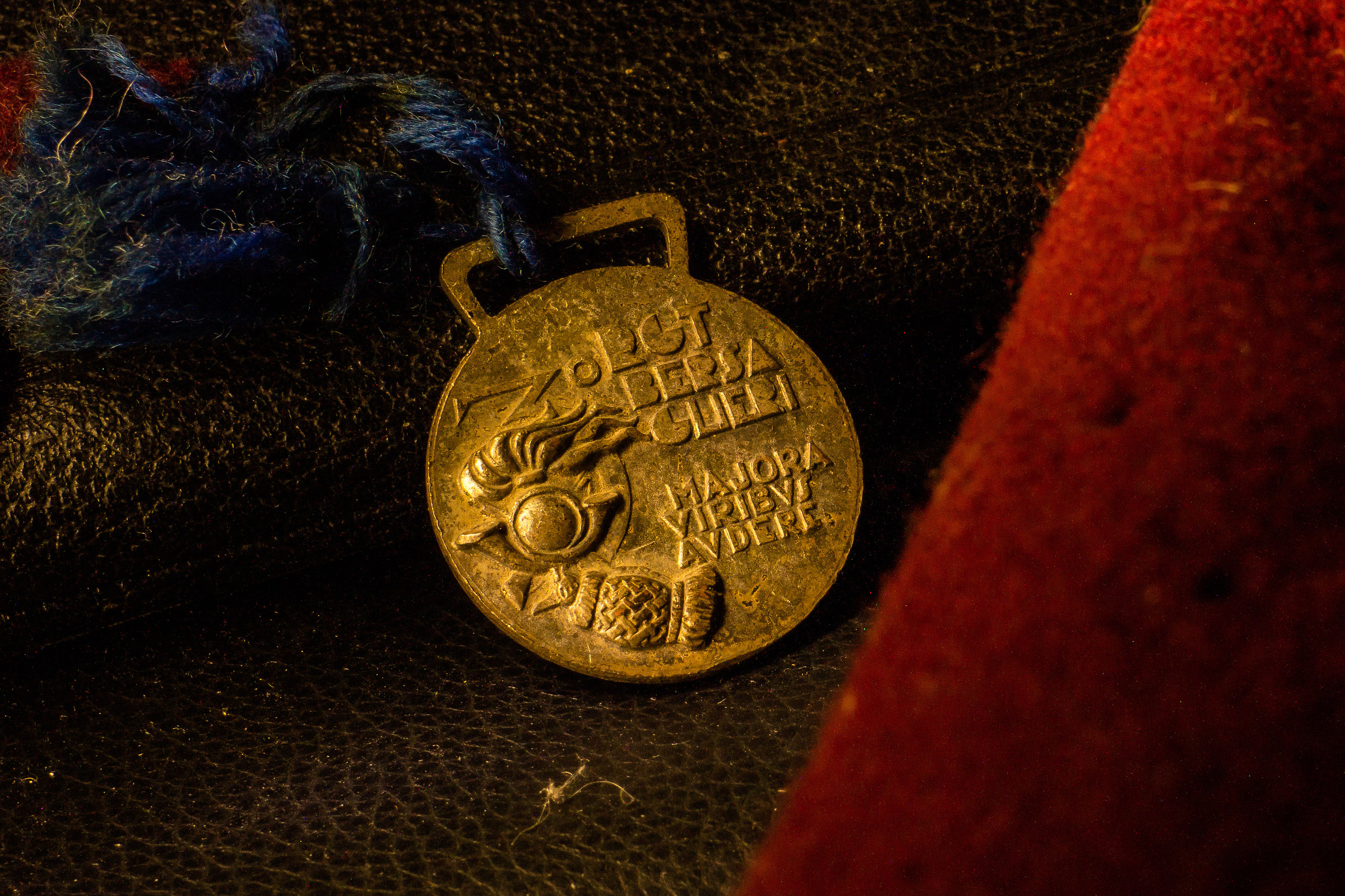 Majora Viribus Audere