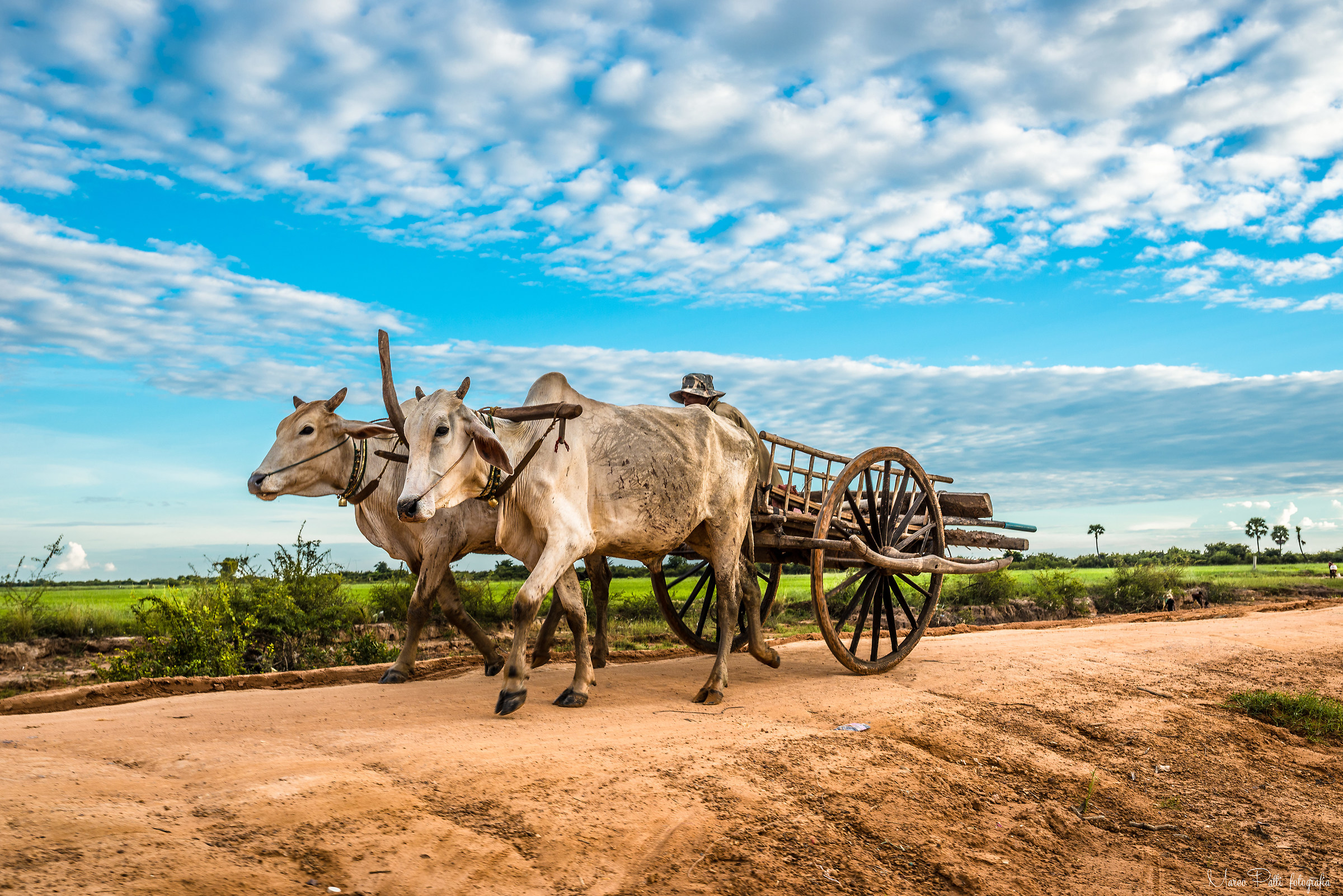 On the way to Kompong pluk
