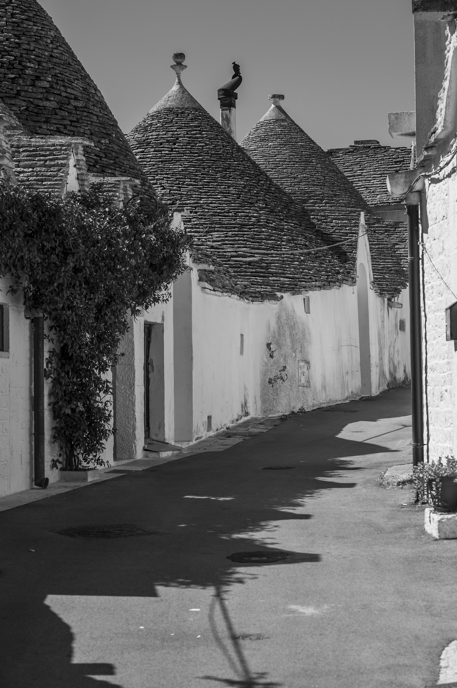 Alberobello