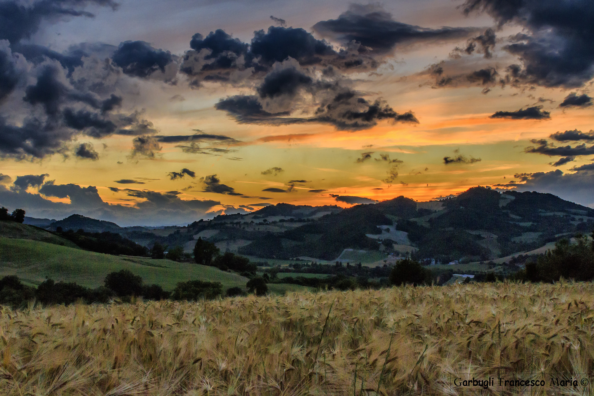 Heaven and Earth "Two shades of yellow"