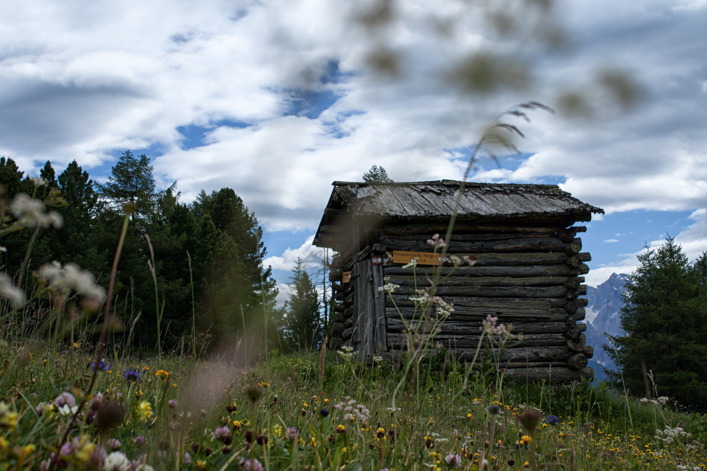 One of the many barns on the refuge road