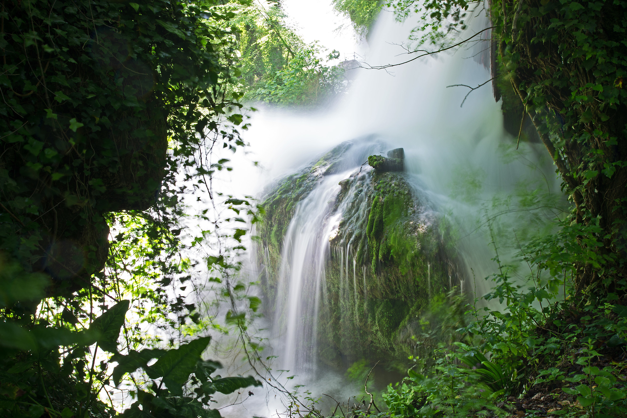 L'acqua si infiltra nella vegetazione