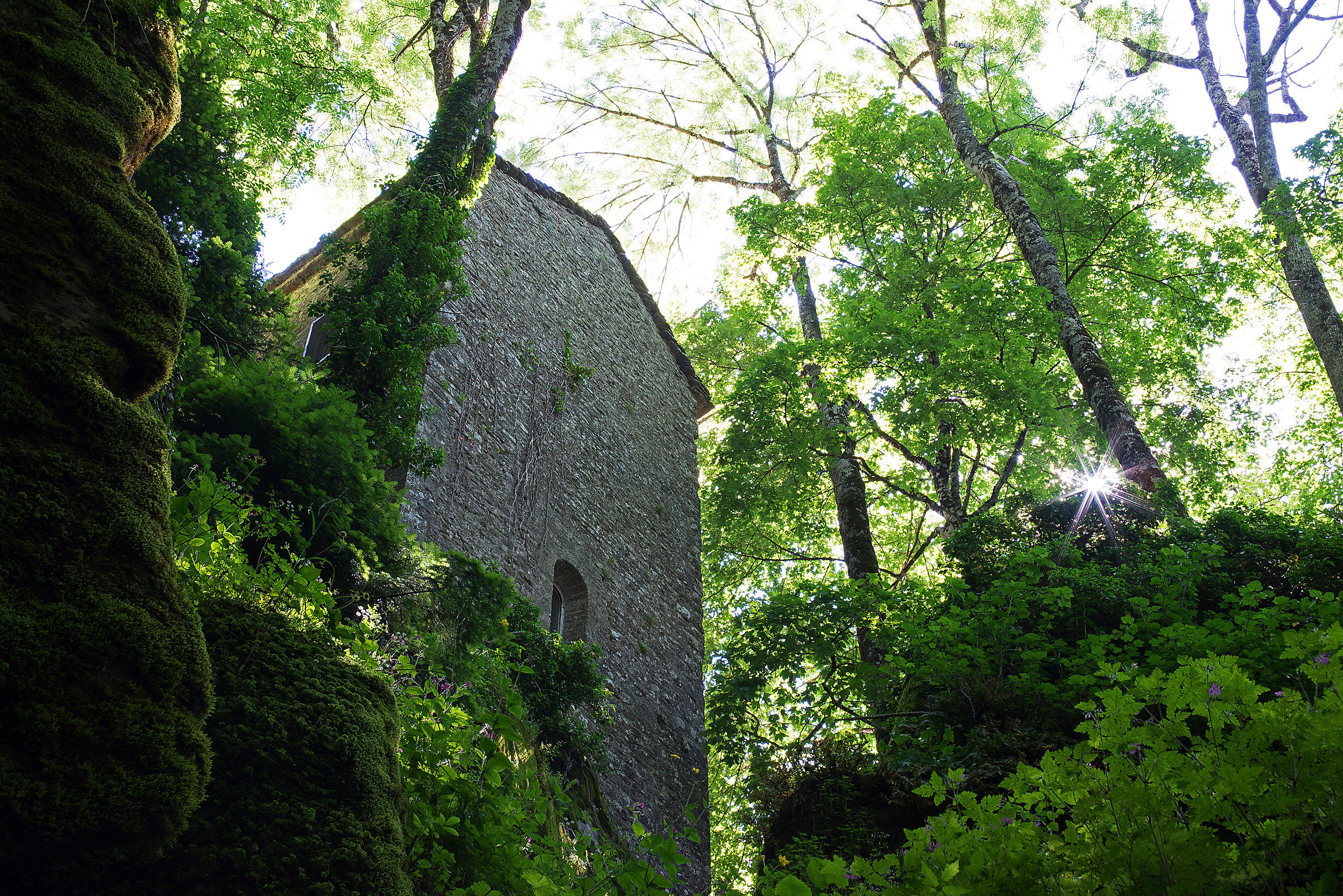 Cappella immersa nel verde