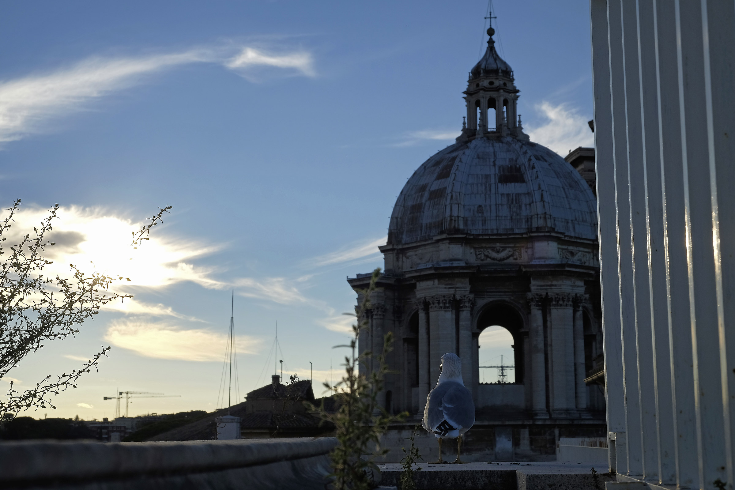 Sui tetti della basilica