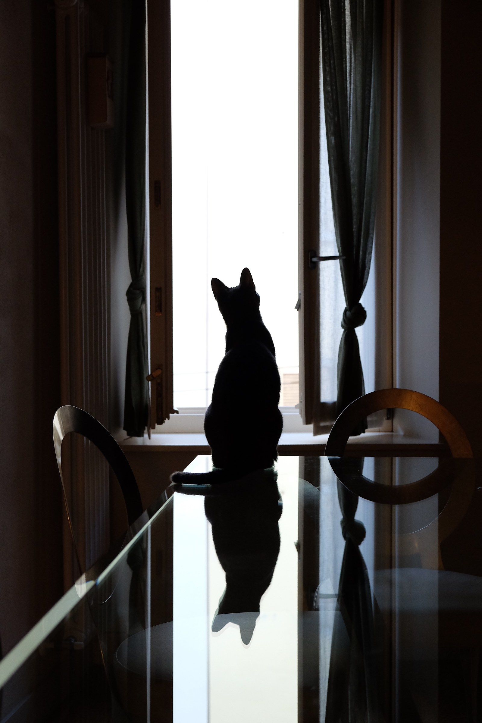 Observing the world ...