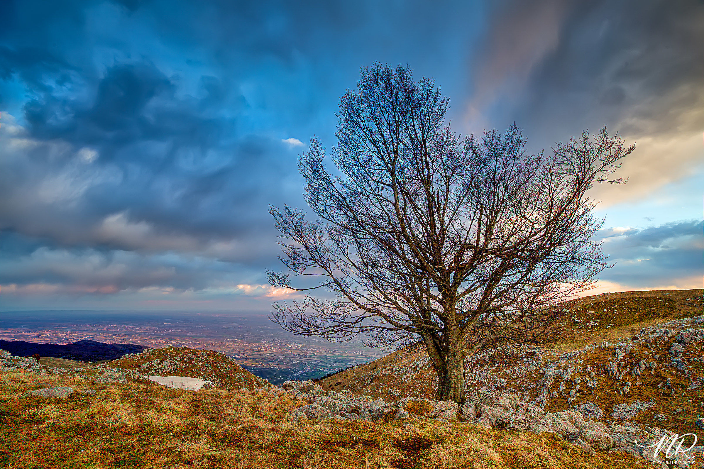 The guardian of the plain