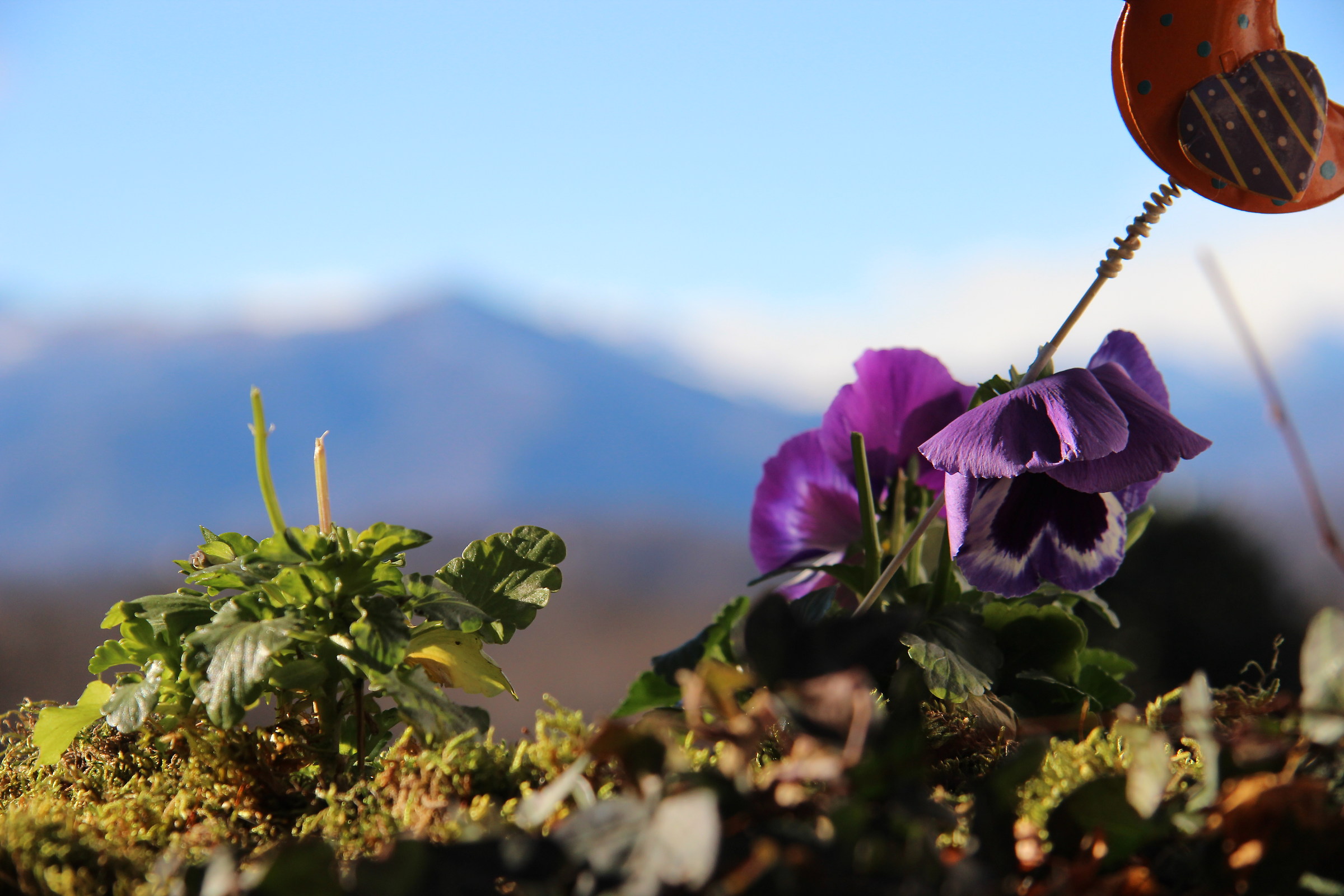 Guardando le montagne