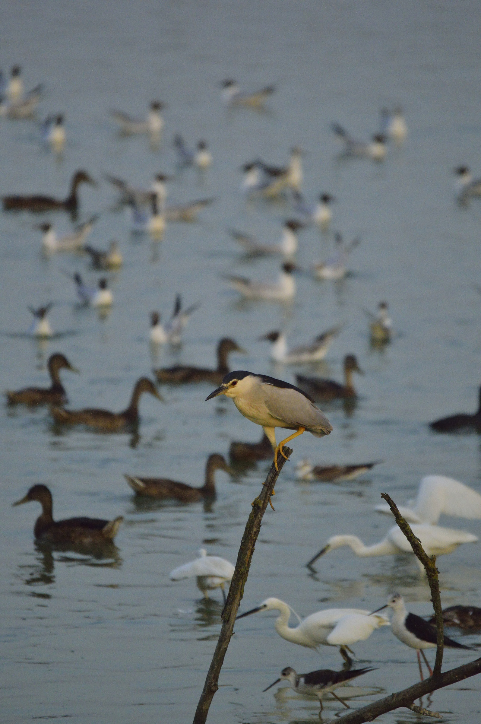crowded apartment building