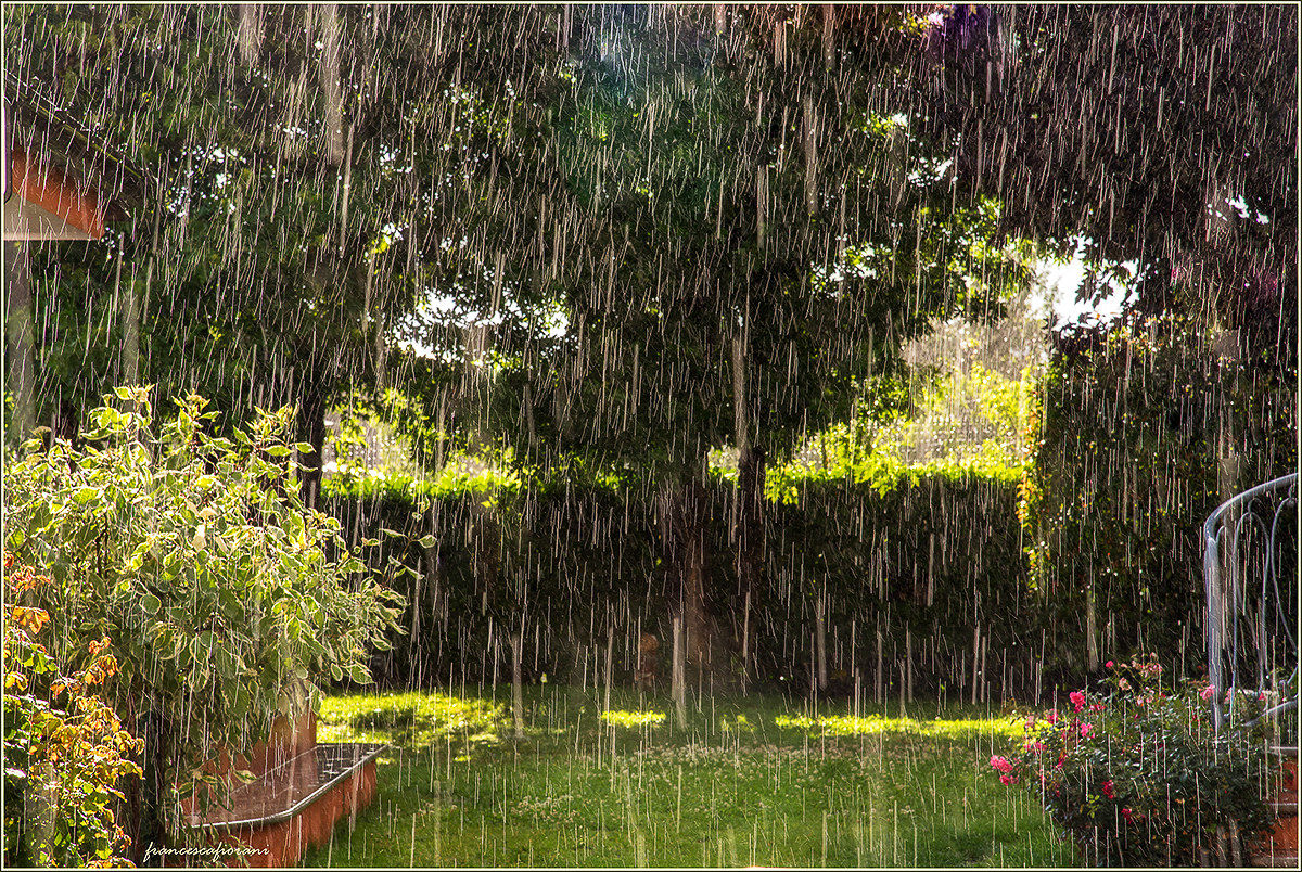 and 'the rain that goes ... and returns the serene