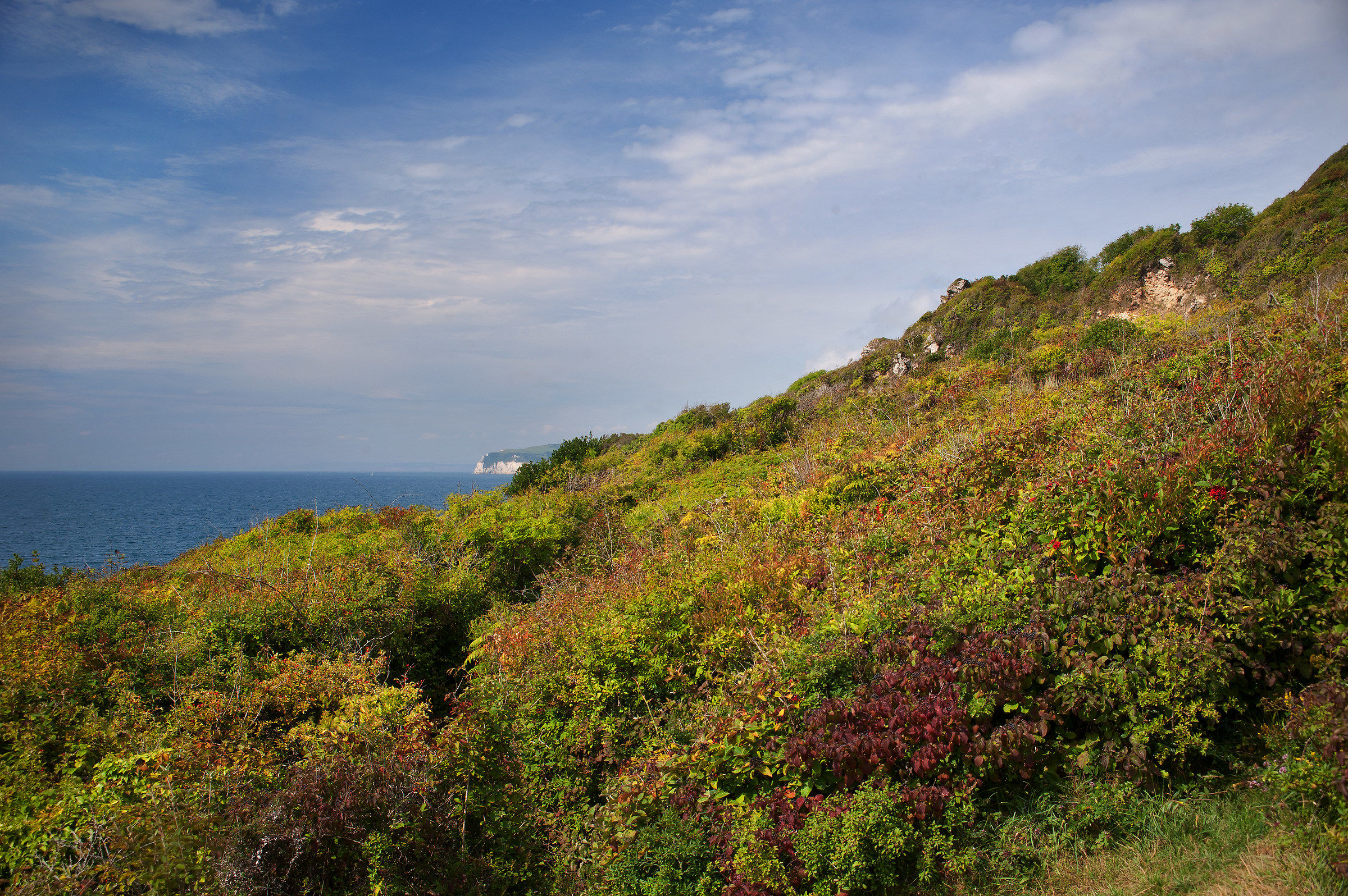 The Constantly Subsiding Coastal Path, near Lyme Regis