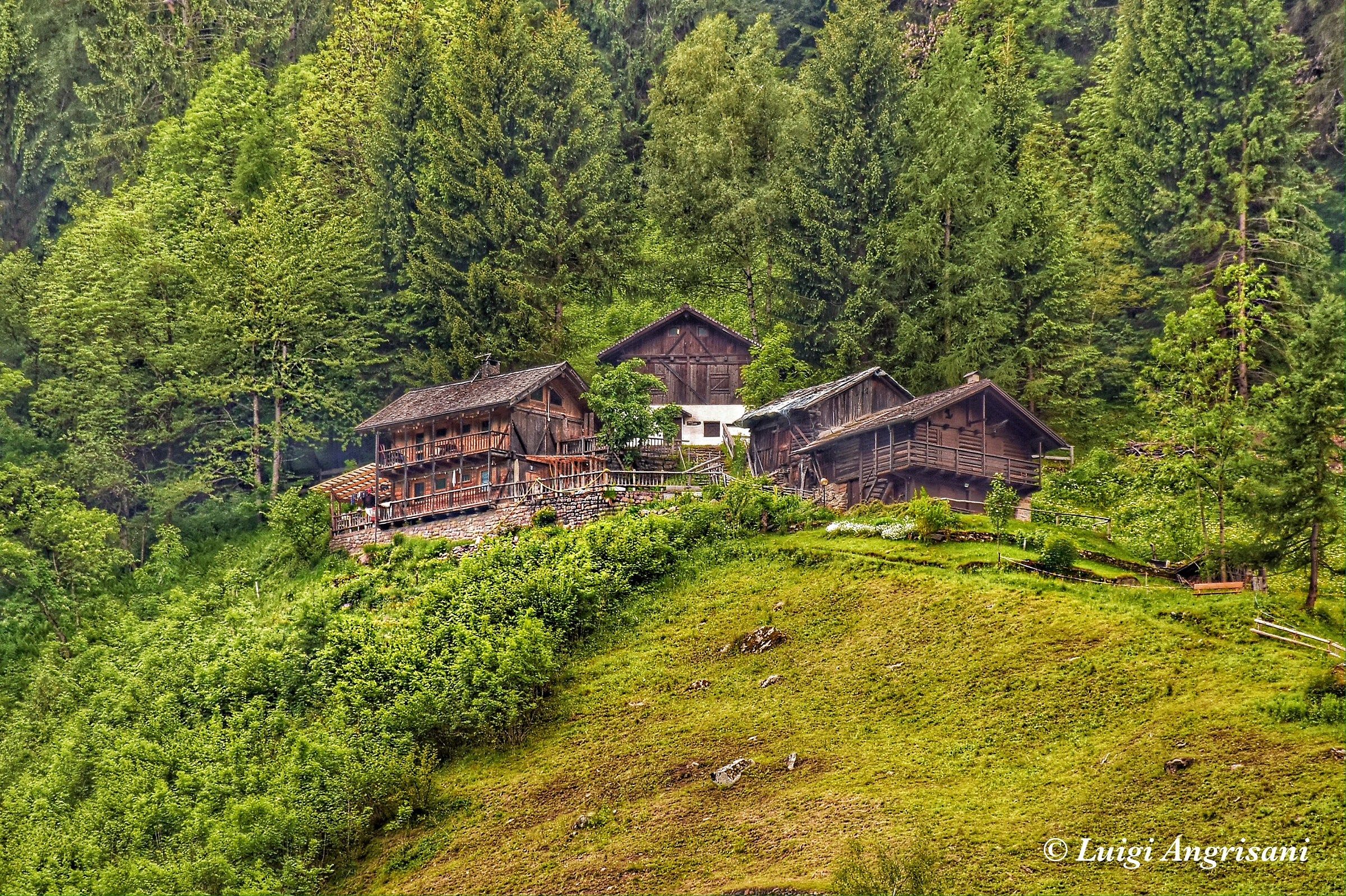Masi in Val di Rabbi