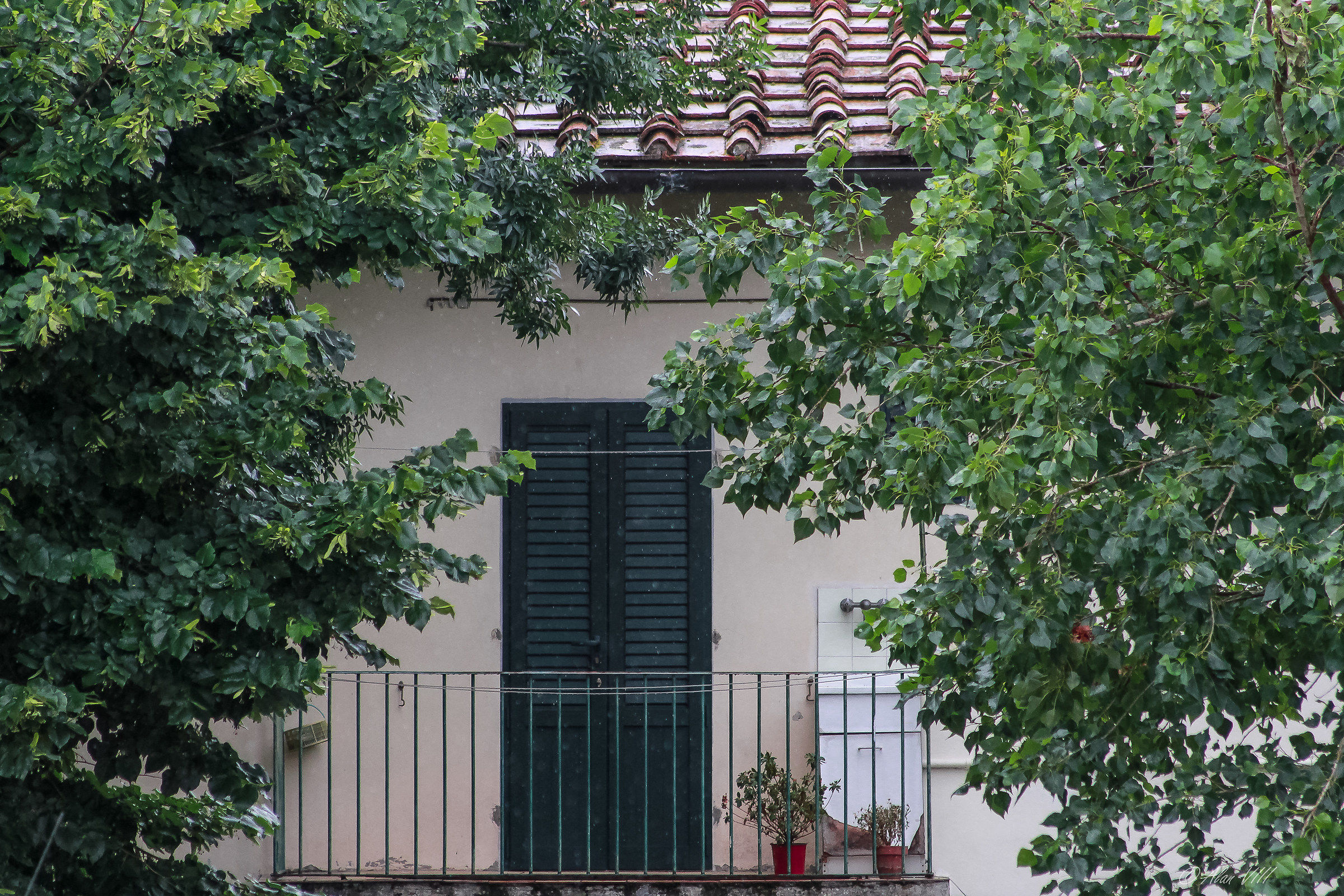 portrait of a gloomy day