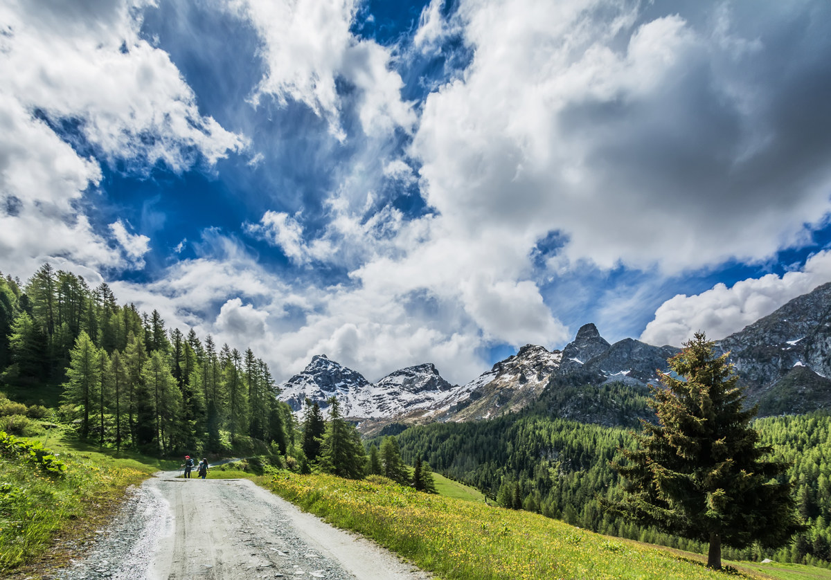 Perdersi in un paesaggio