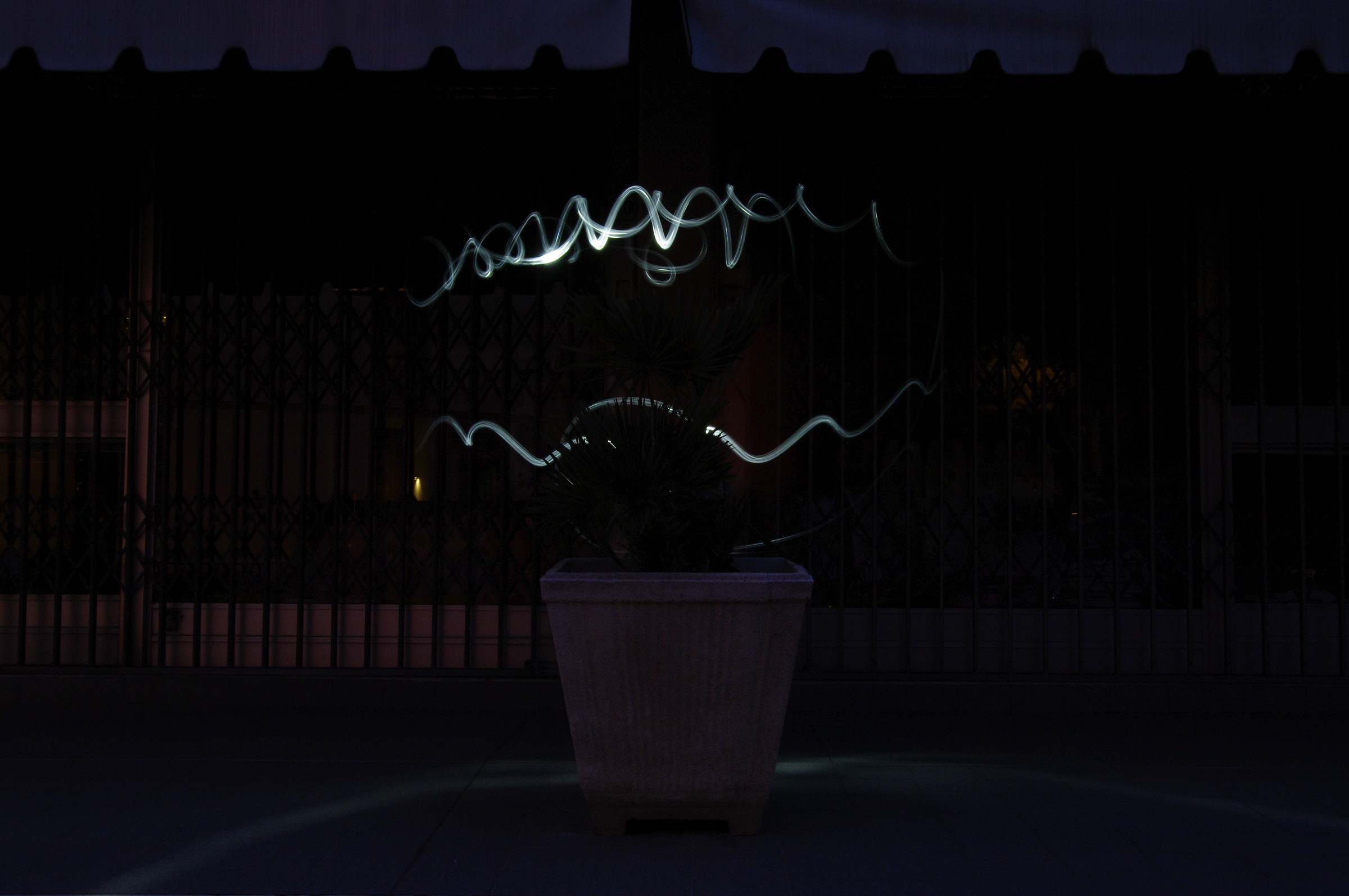 Night lights and waves