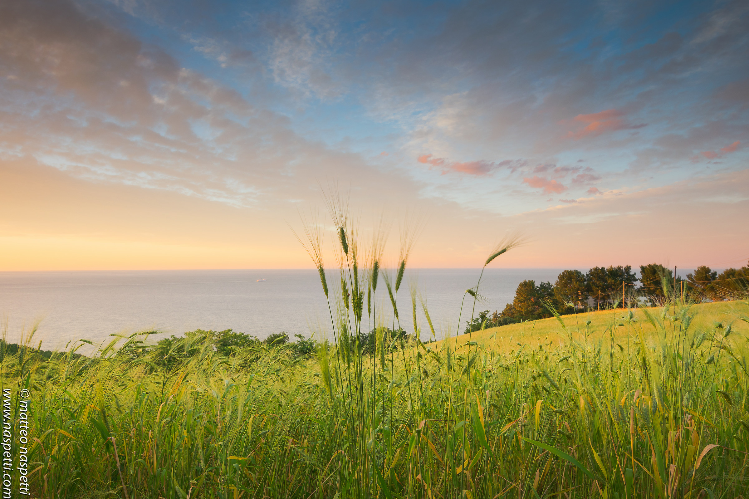 Pietralacroce - Ancona