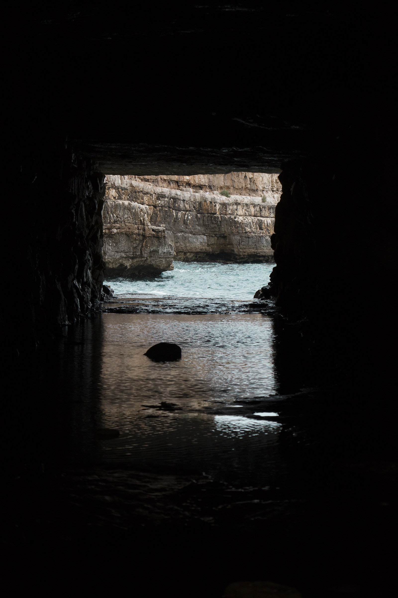 The window that everyone wants