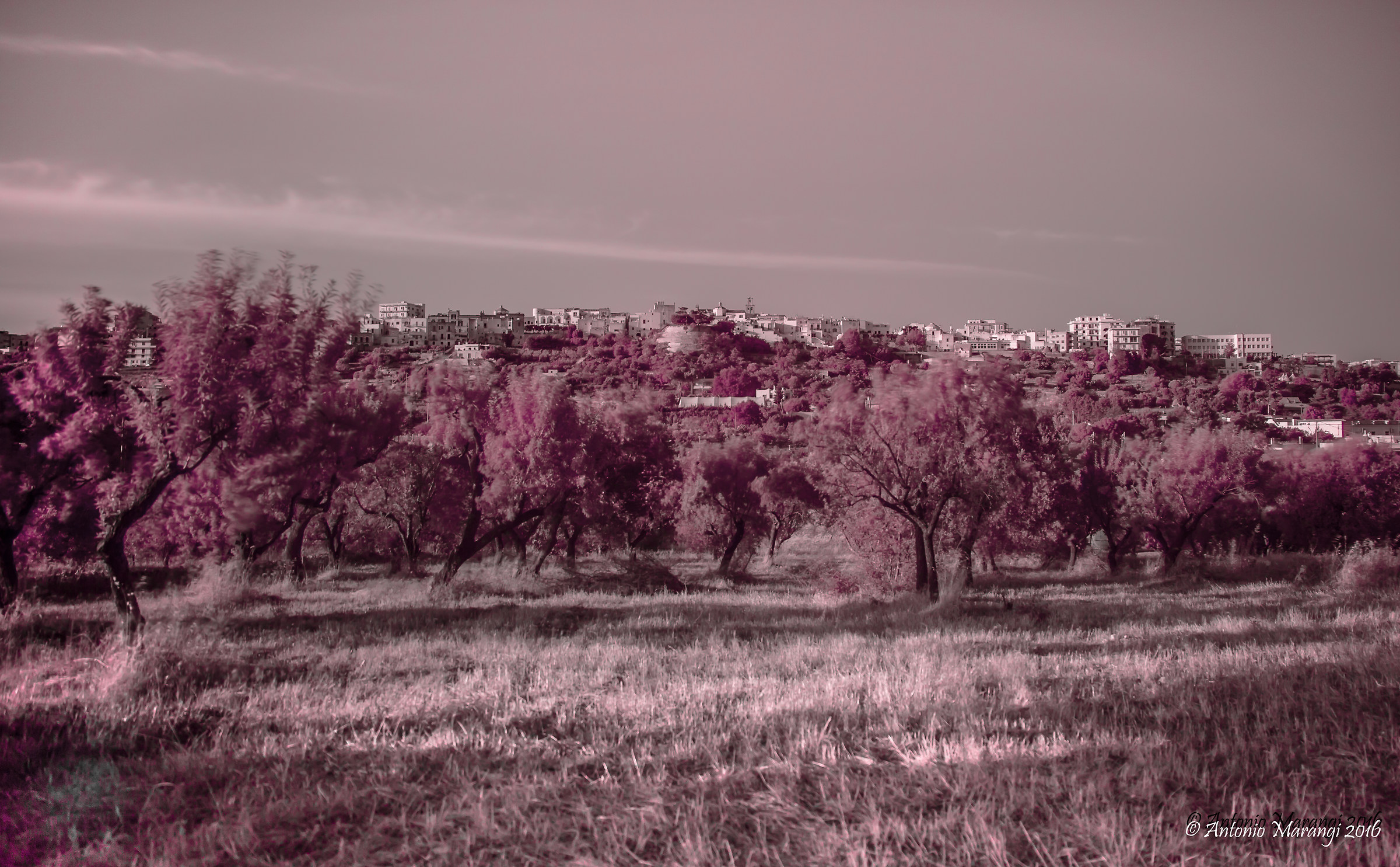 la mia cisternino all'infrarosso