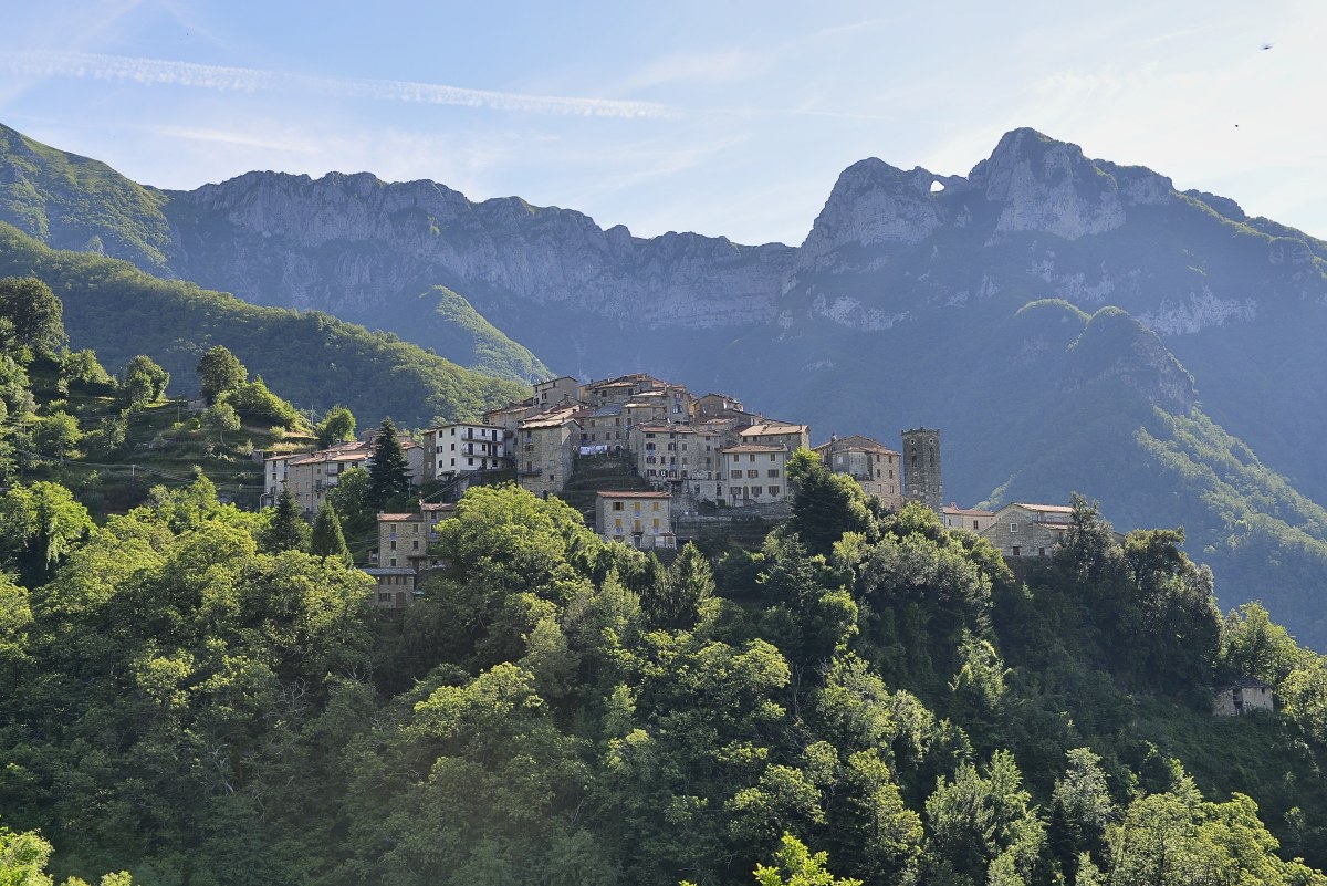 Pruno - Alta Versilia