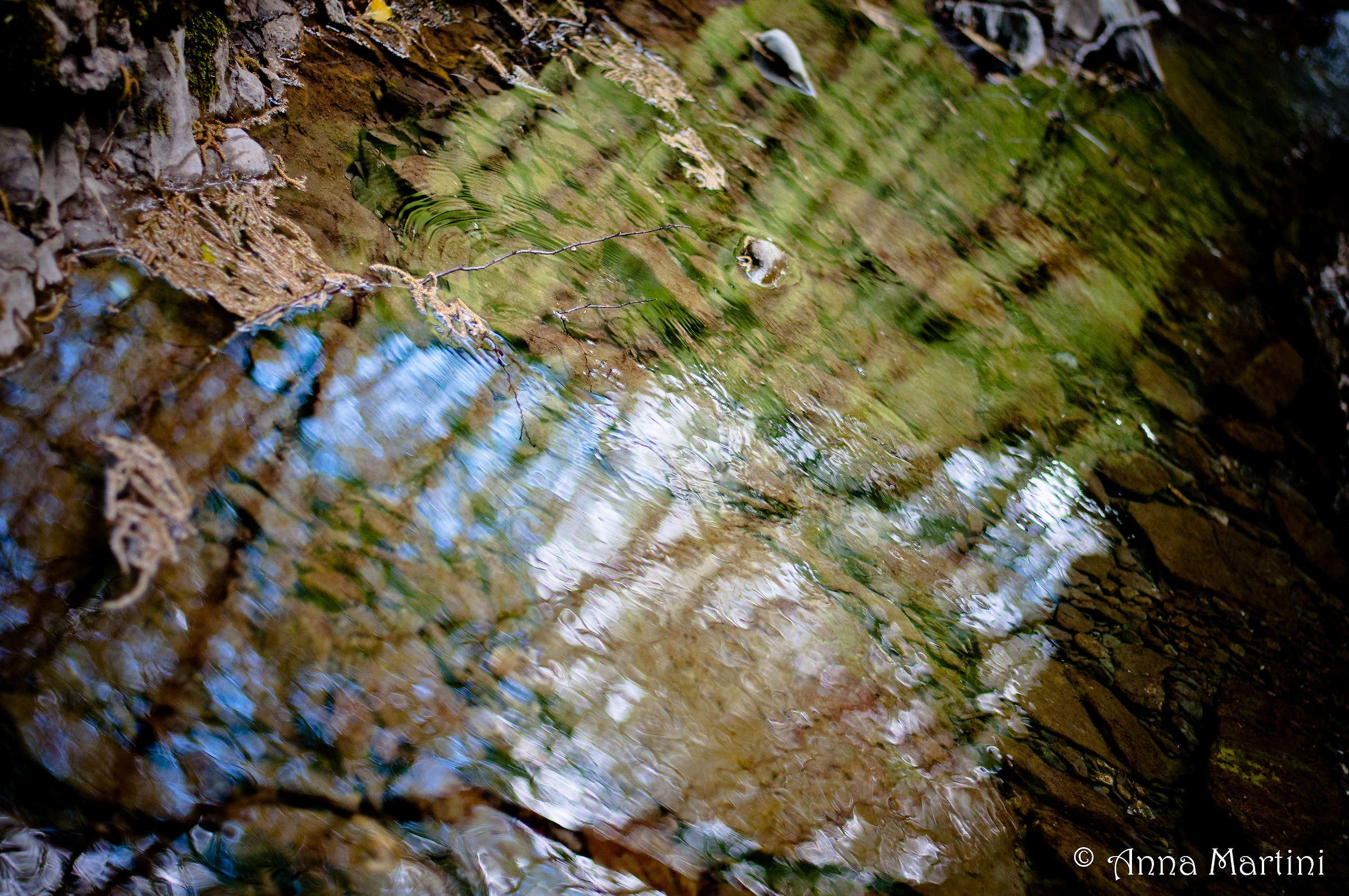 il mio espressionismo