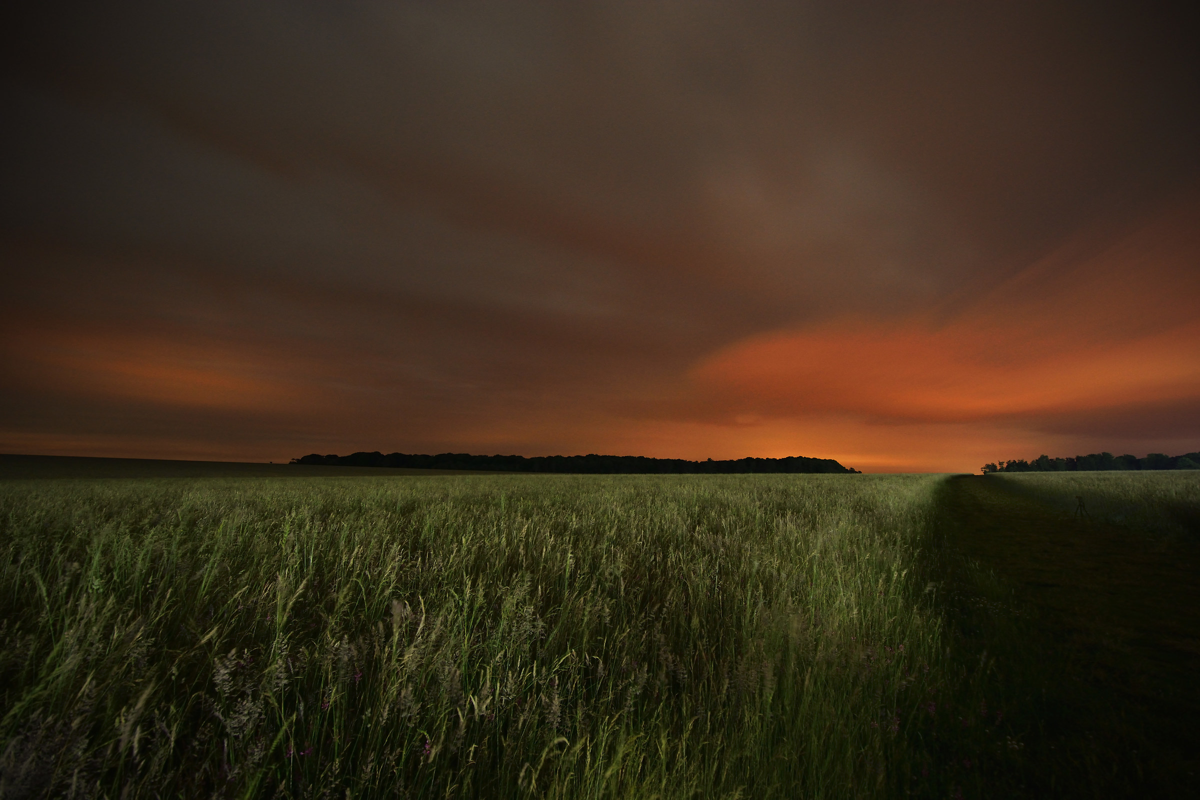 Fields of Fire (Awaiting the Solstice)