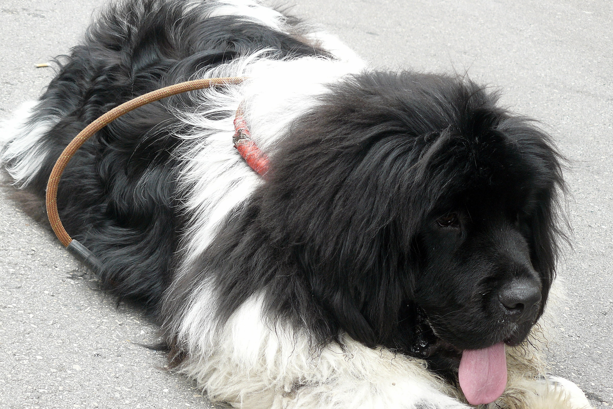 Gita photos in Vicenza and Bassano del Grappa