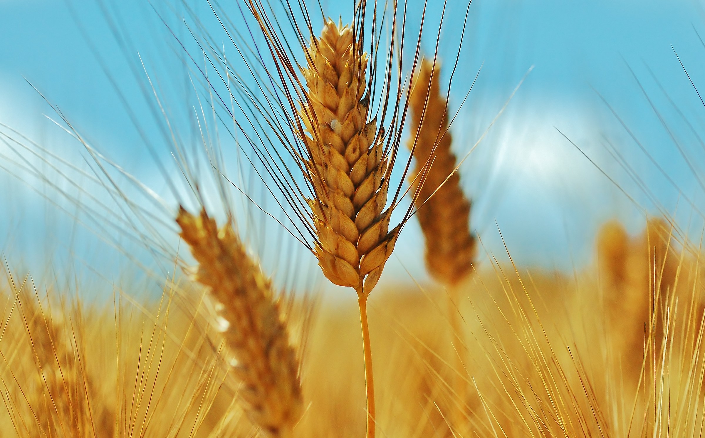 Al termine di un ciclo.Il primo