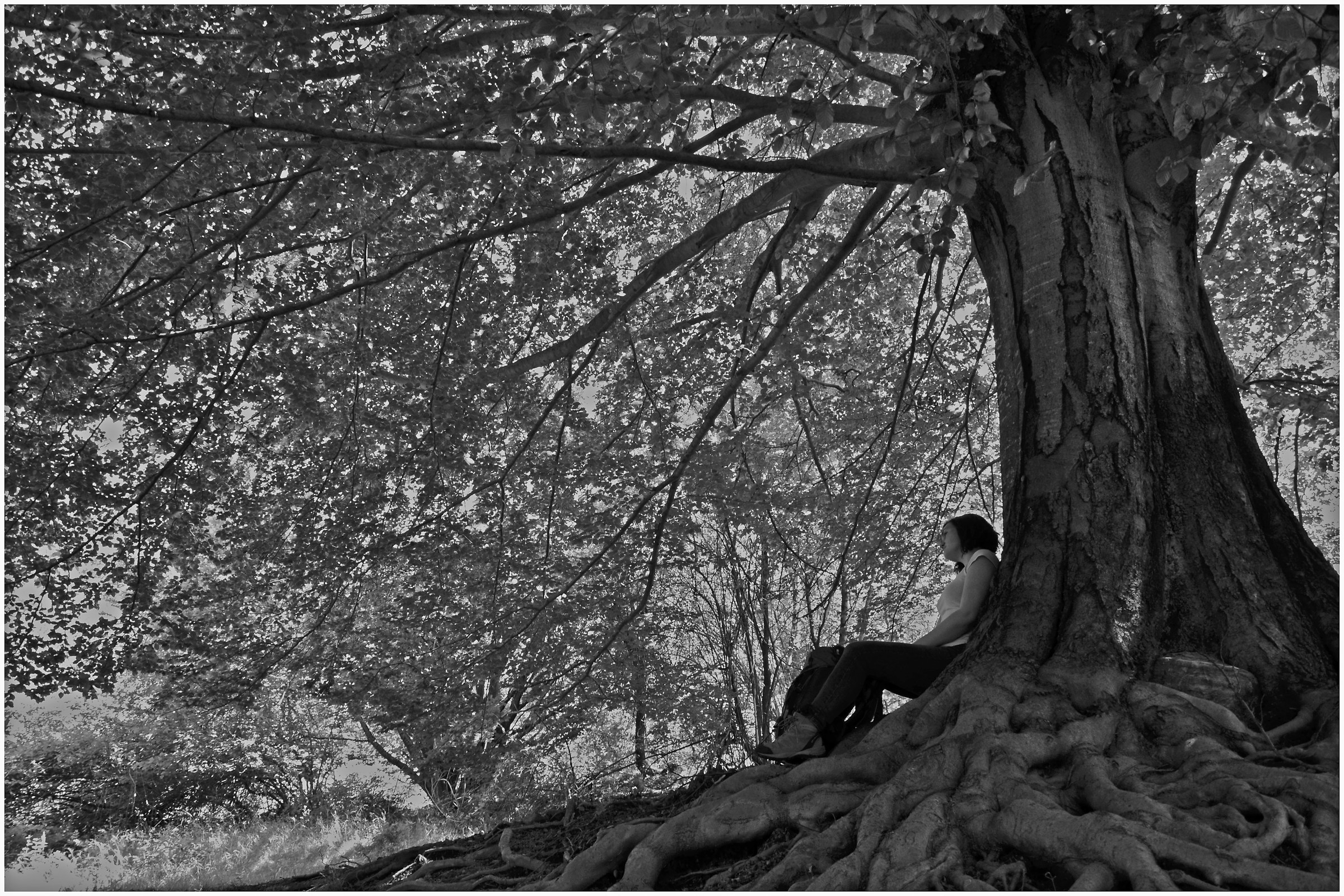 Il riposo del viaggiatore