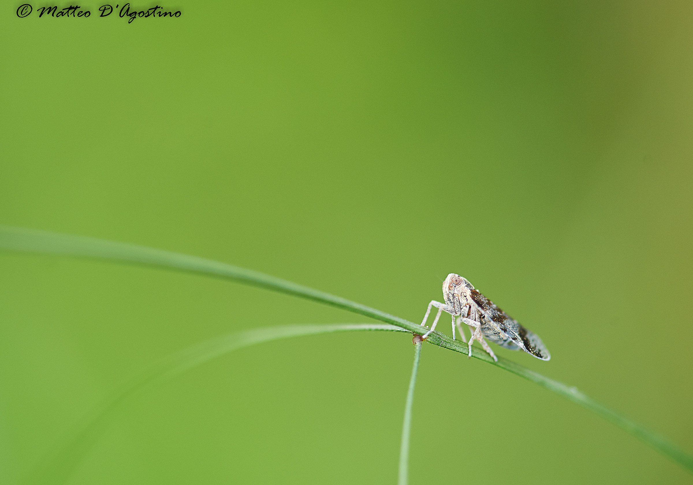 Stopped at an intersection